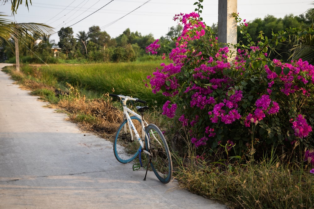 a bike parked on the side of a road next to flowers