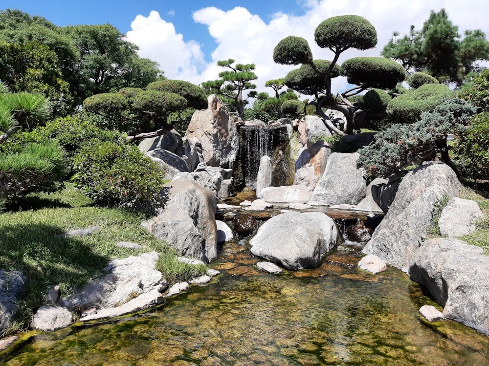 a small waterfall surrounded by rocks and trees