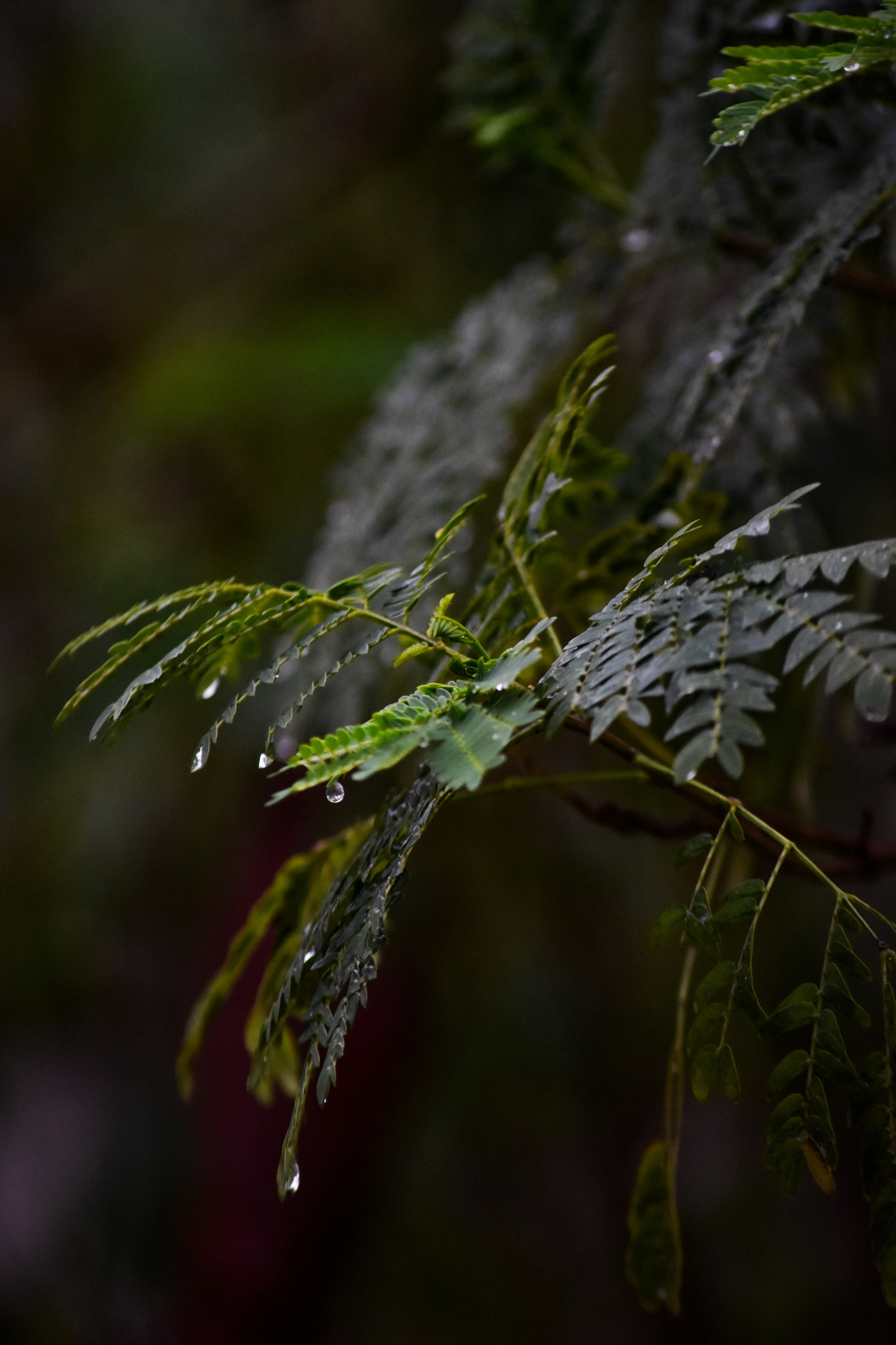 Photo by rtldtu05