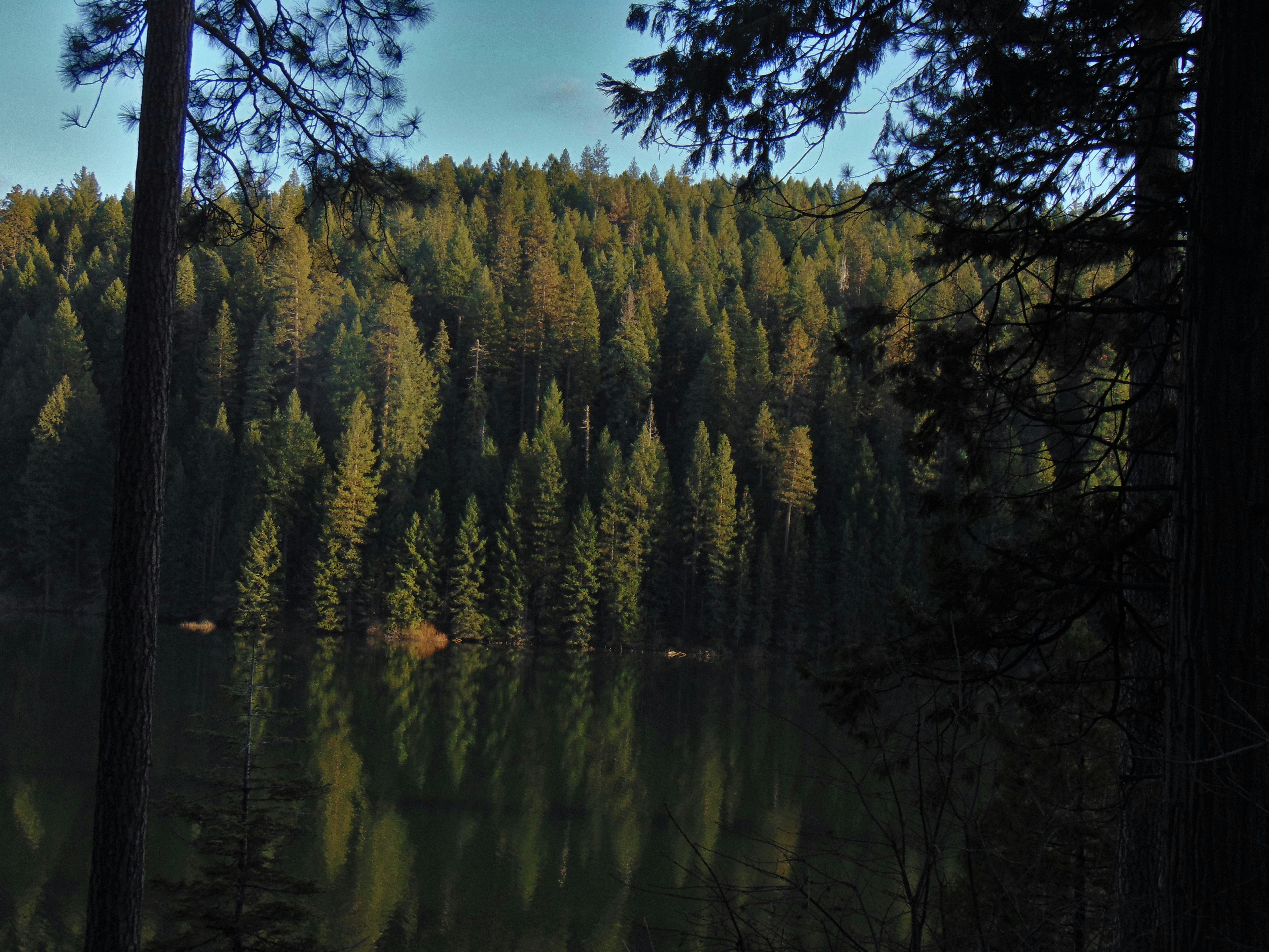 Photo by olivia_brewer2002