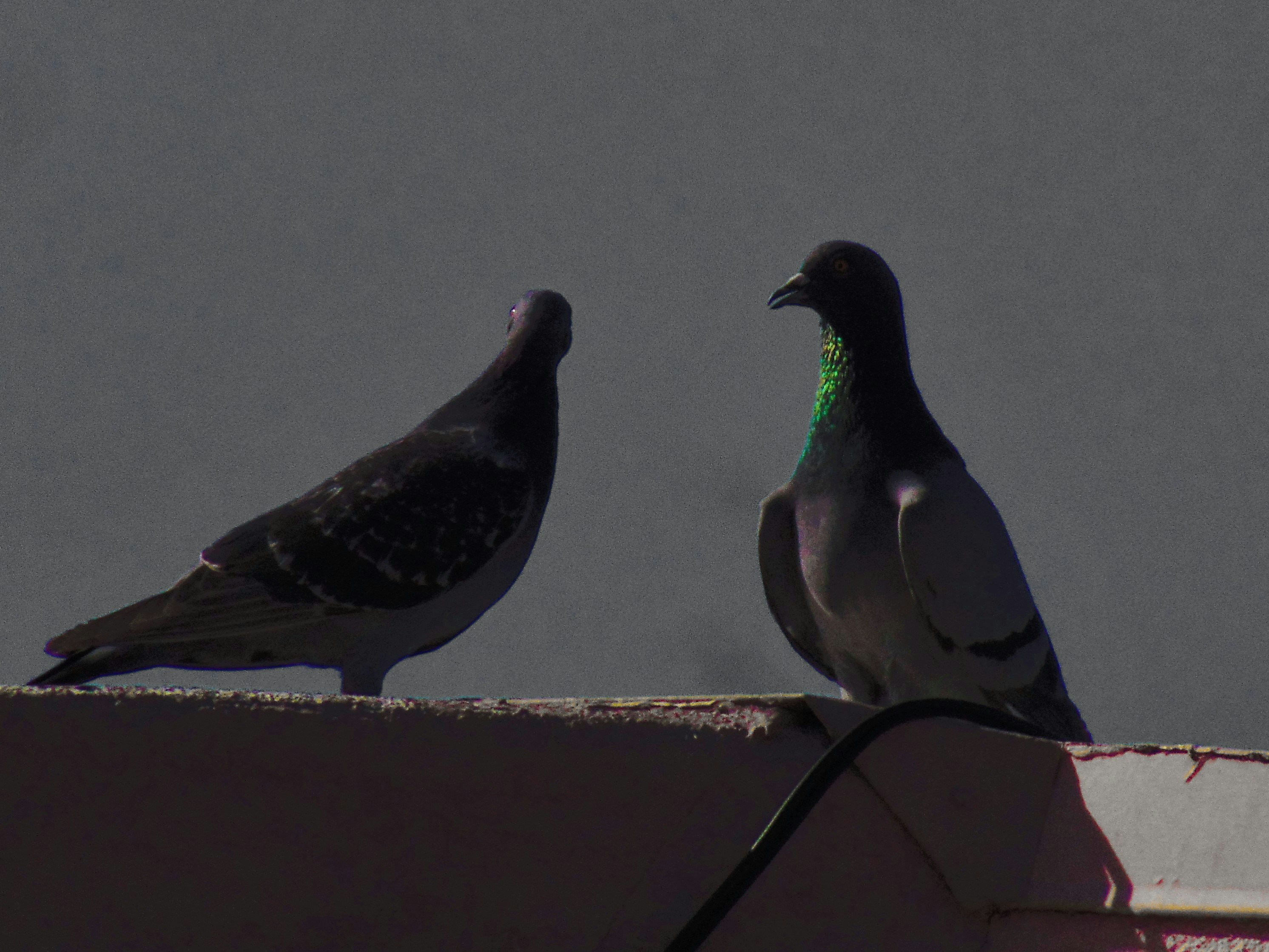 Photo by olivia_brewer2002