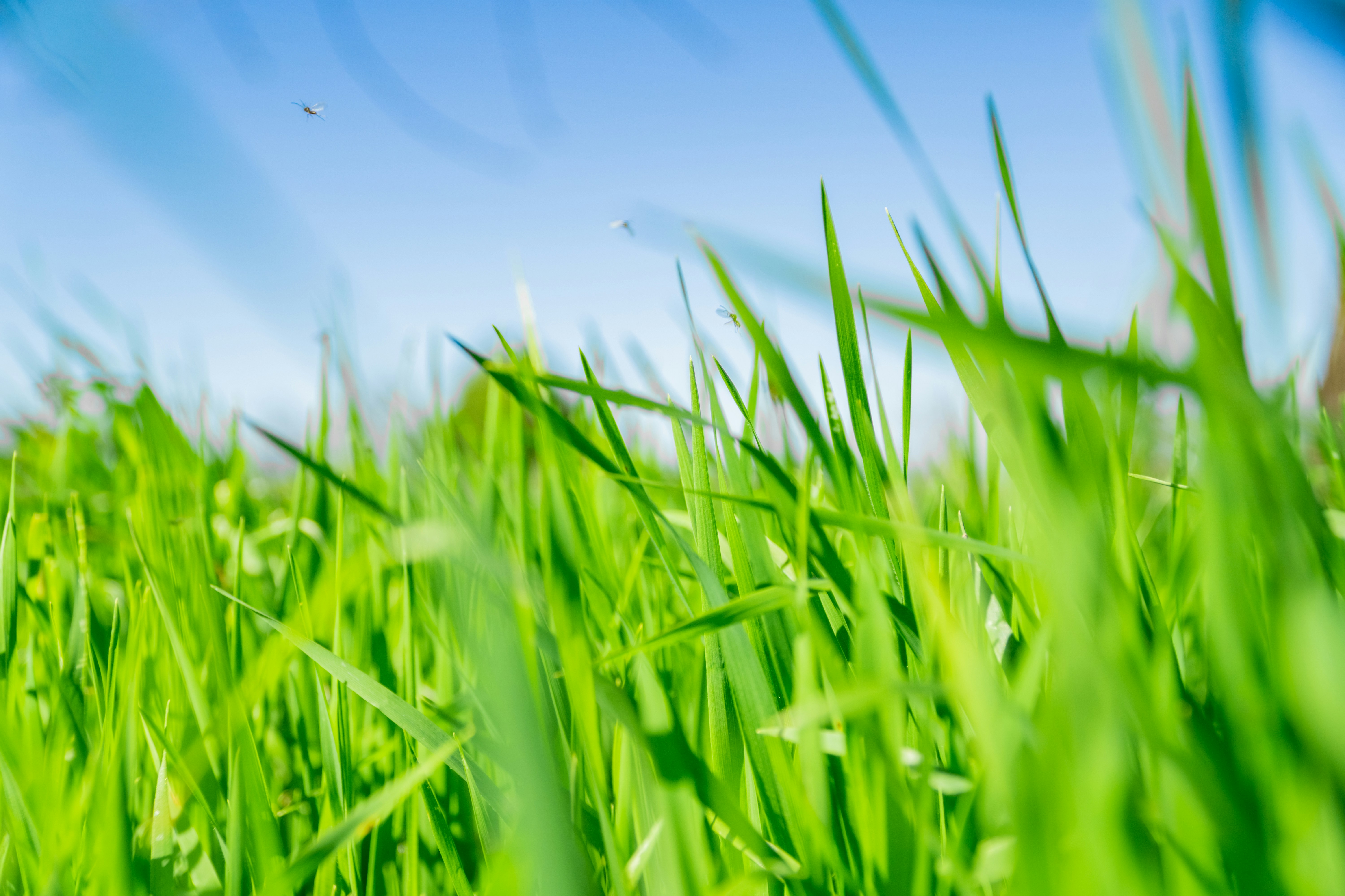 Photo by spencer_demera