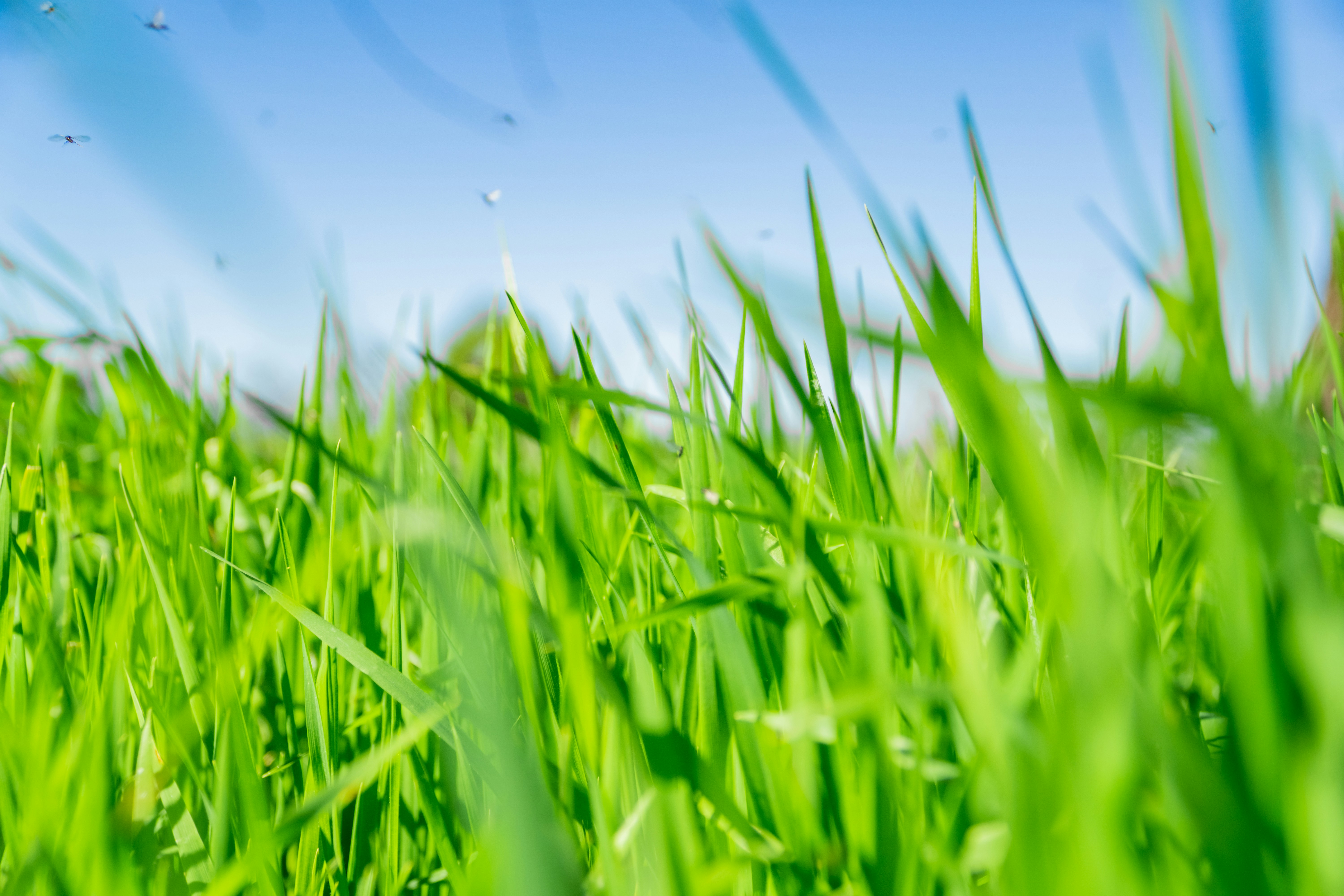 Photo by spencer_demera