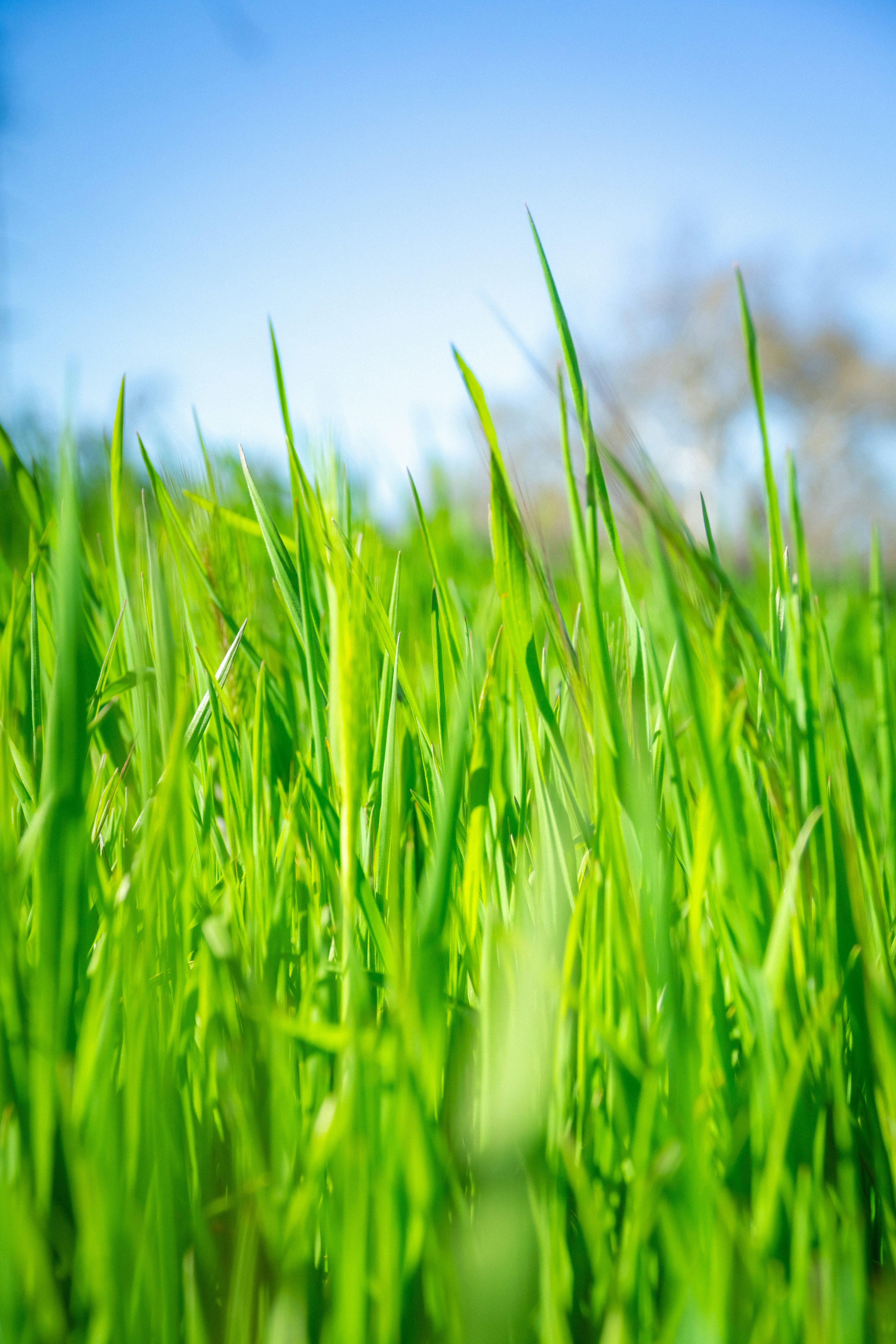 Photo by spencer_demera