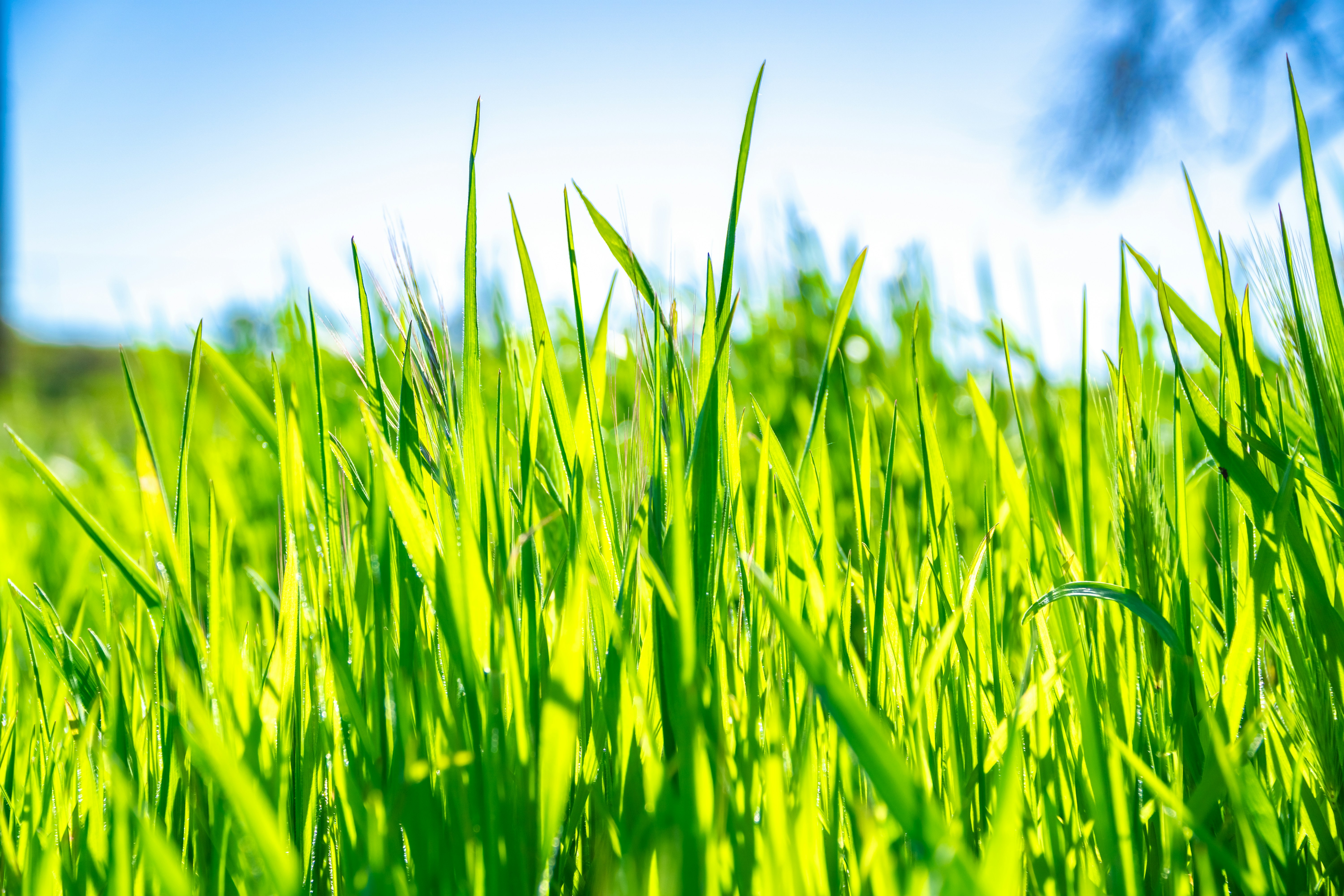 Photo by spencer_demera