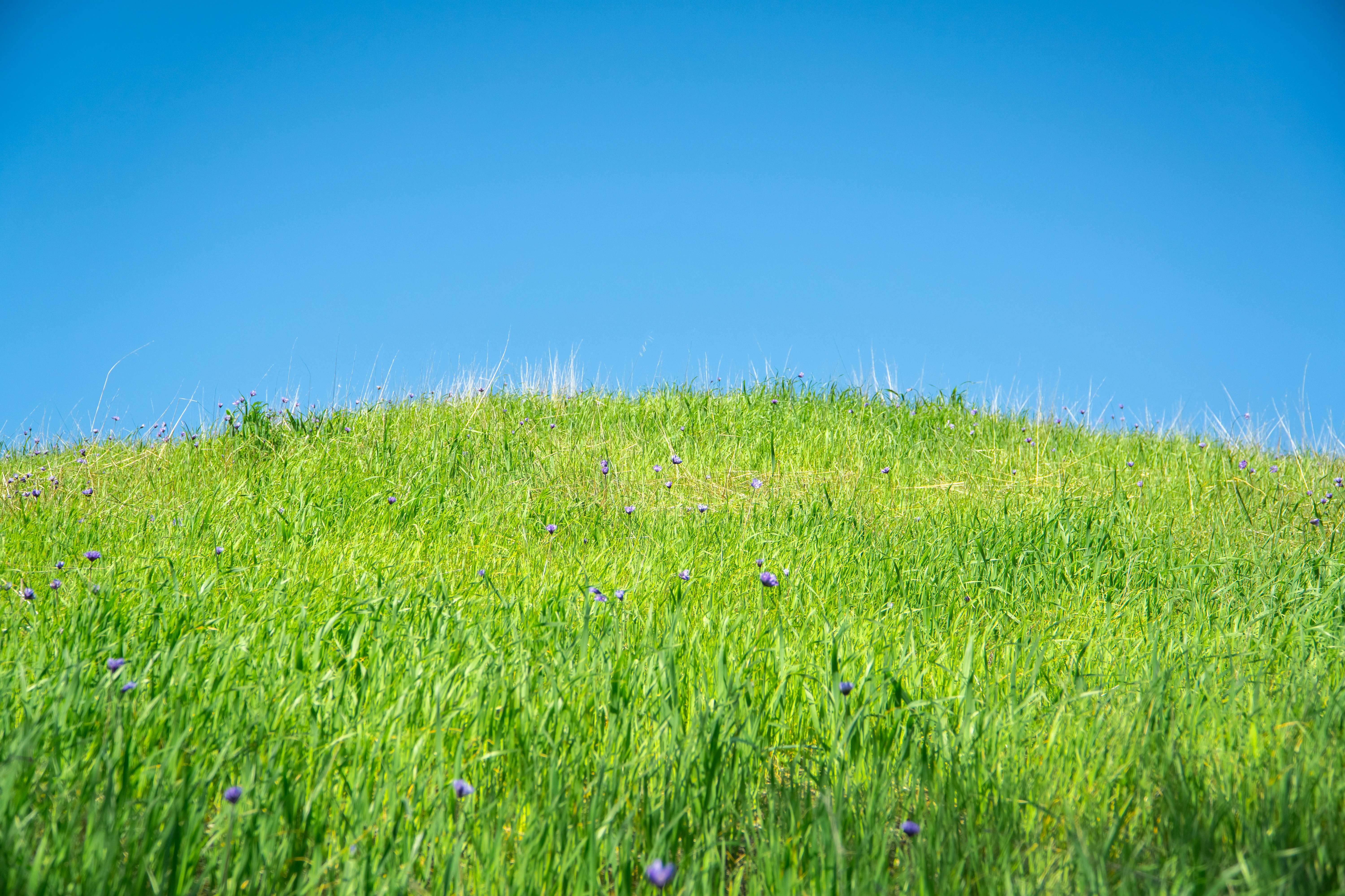 Photo by spencer_demera