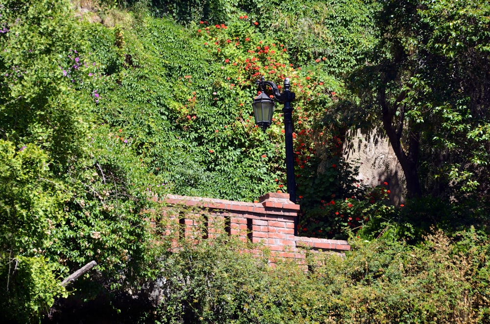 a street light surrounded by trees and bushes