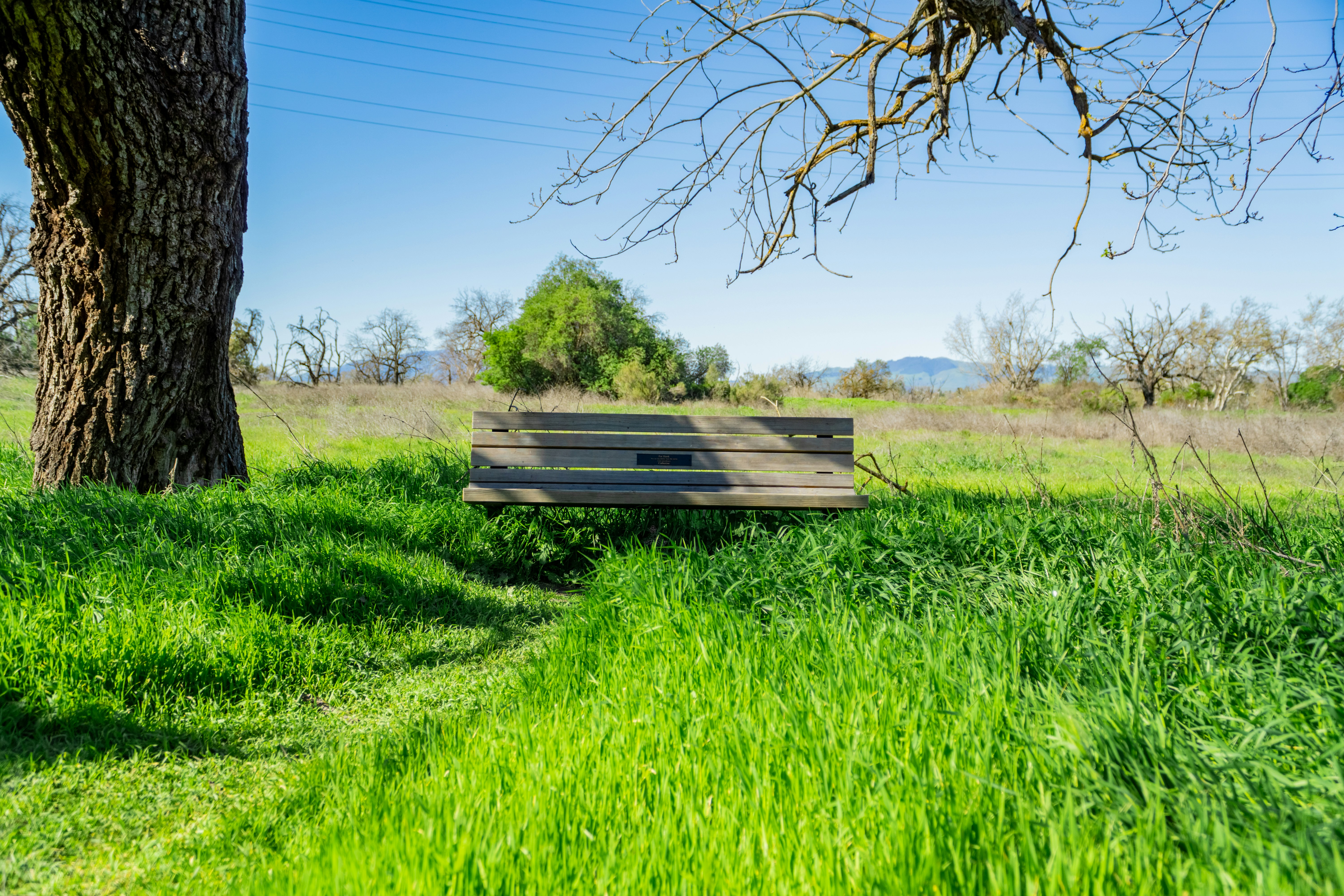 Photo by spencer_demera