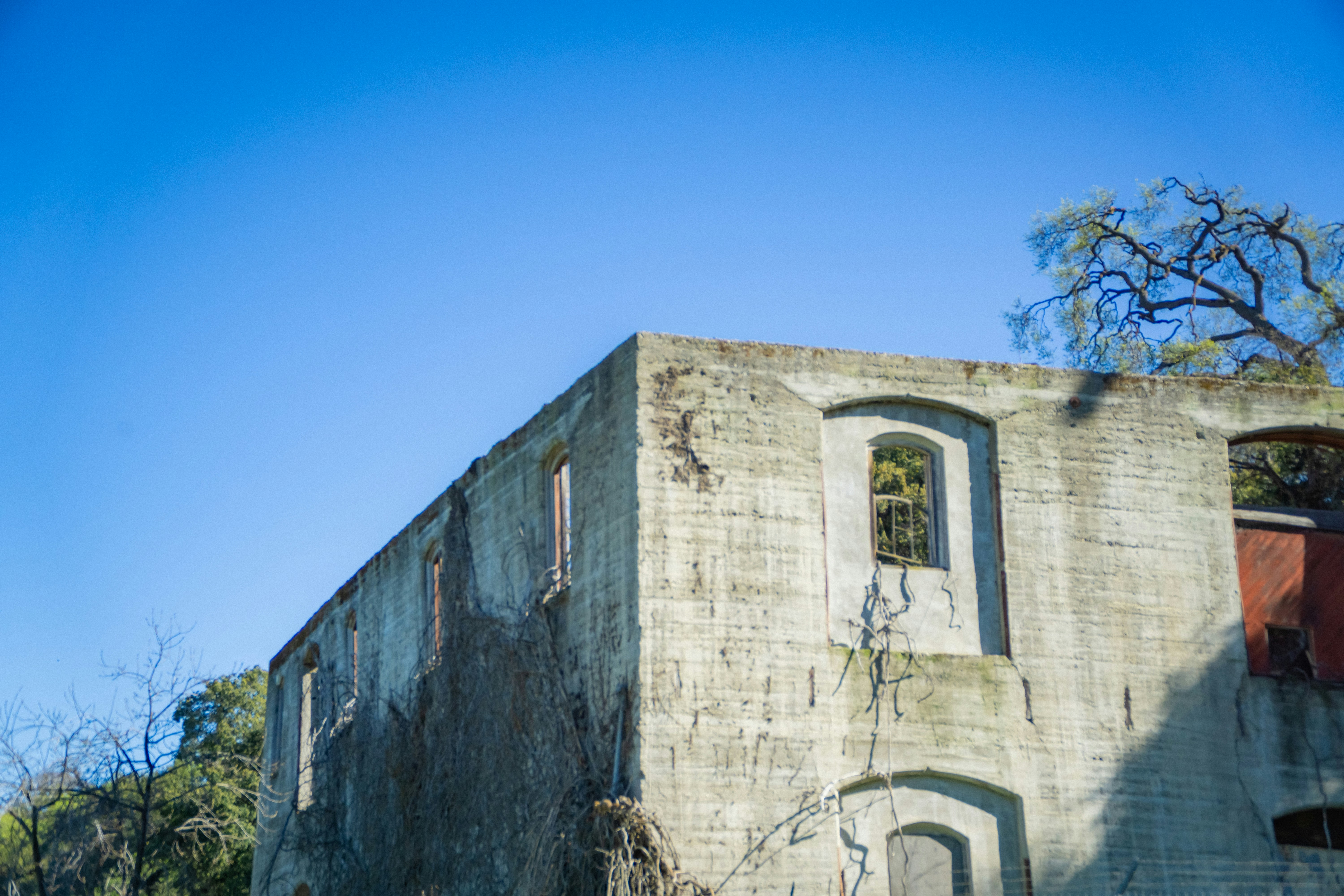 Photo by spencer_demera