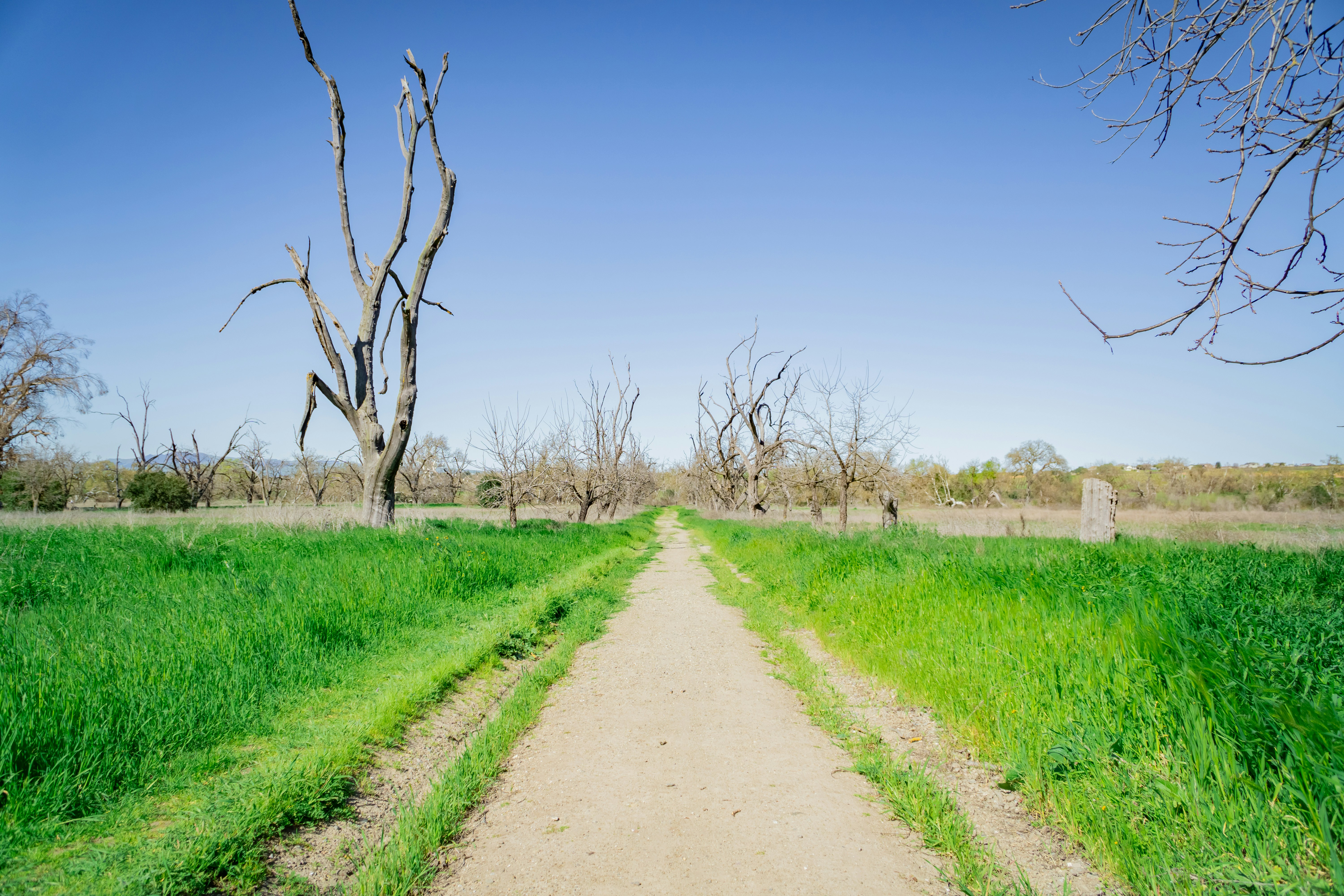 Photo by spencer_demera