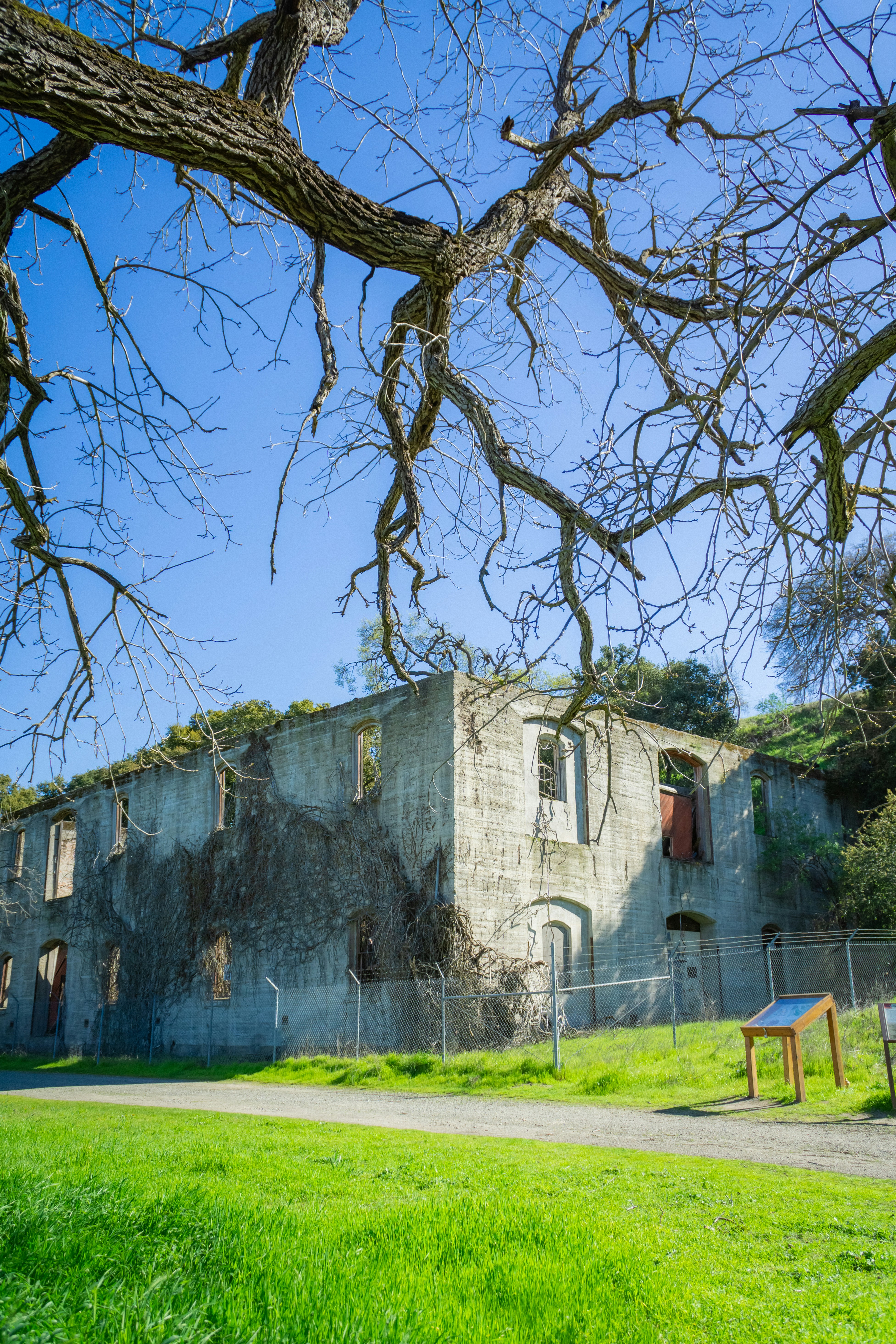 Photo by spencer_demera