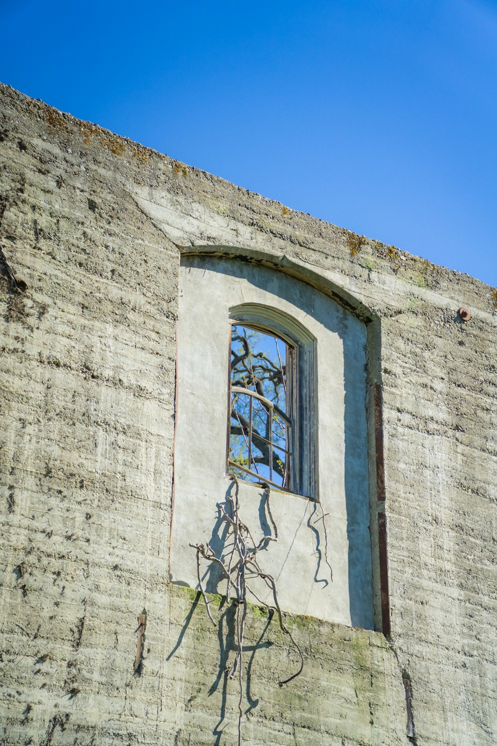 una ventana en una pared de ladrillo con enredaderas que crecen de ella