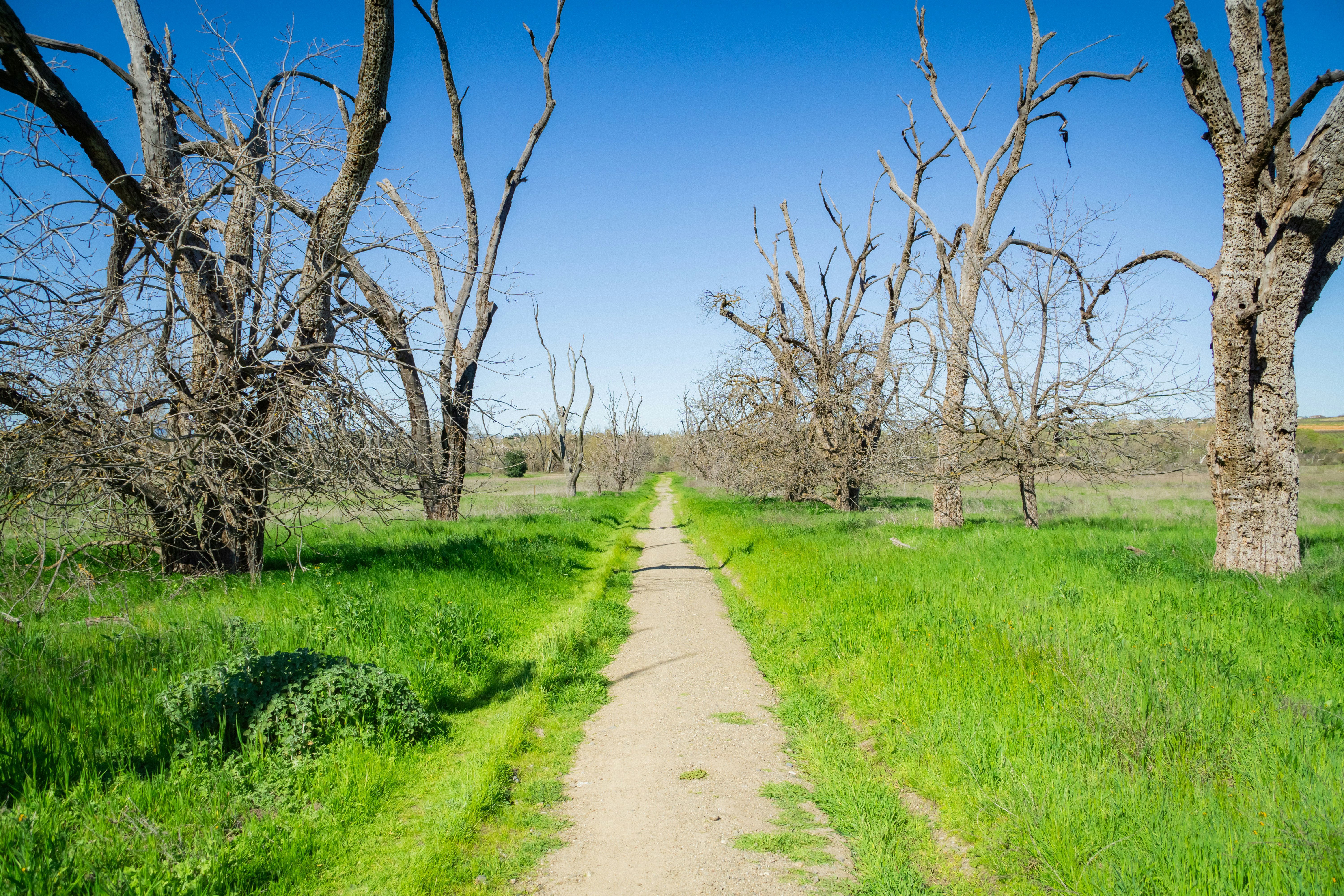 Photo by spencer_demera