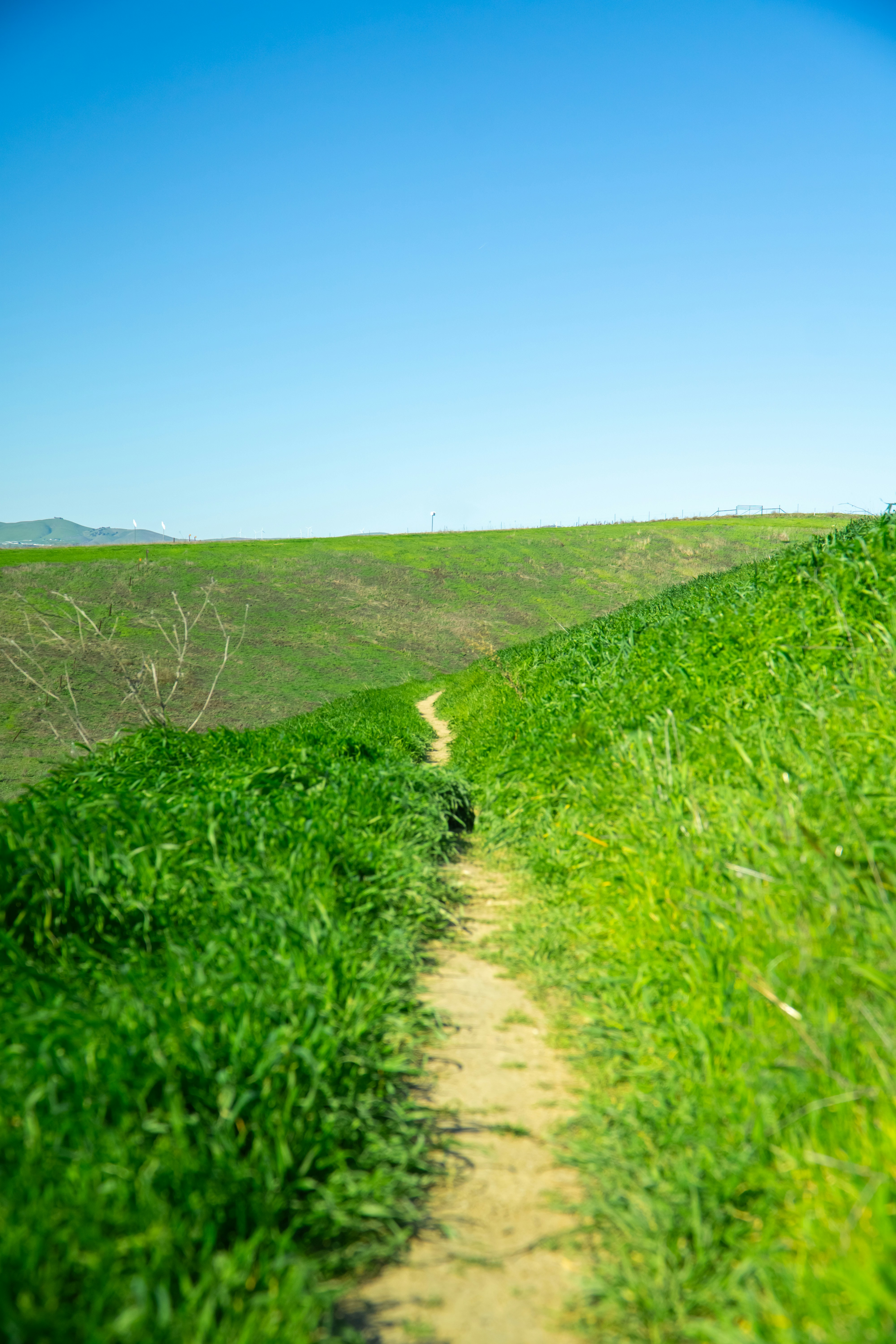 Photo by spencer_demera