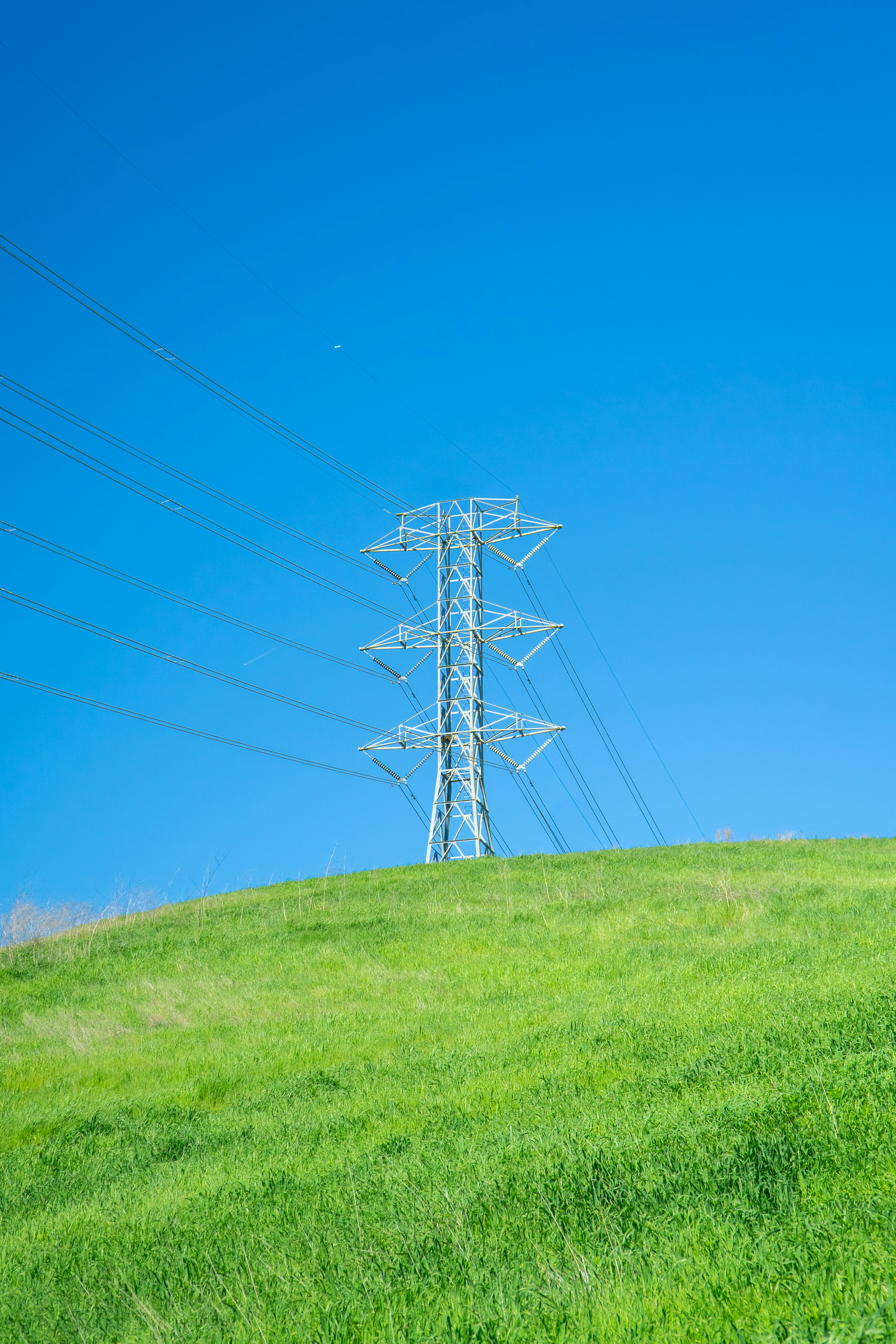 Photo by spencer_demera