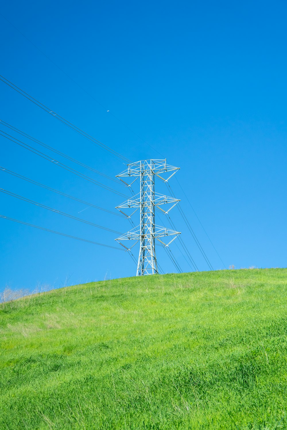 an electric pole on a grassy hill with a blue sky in the background