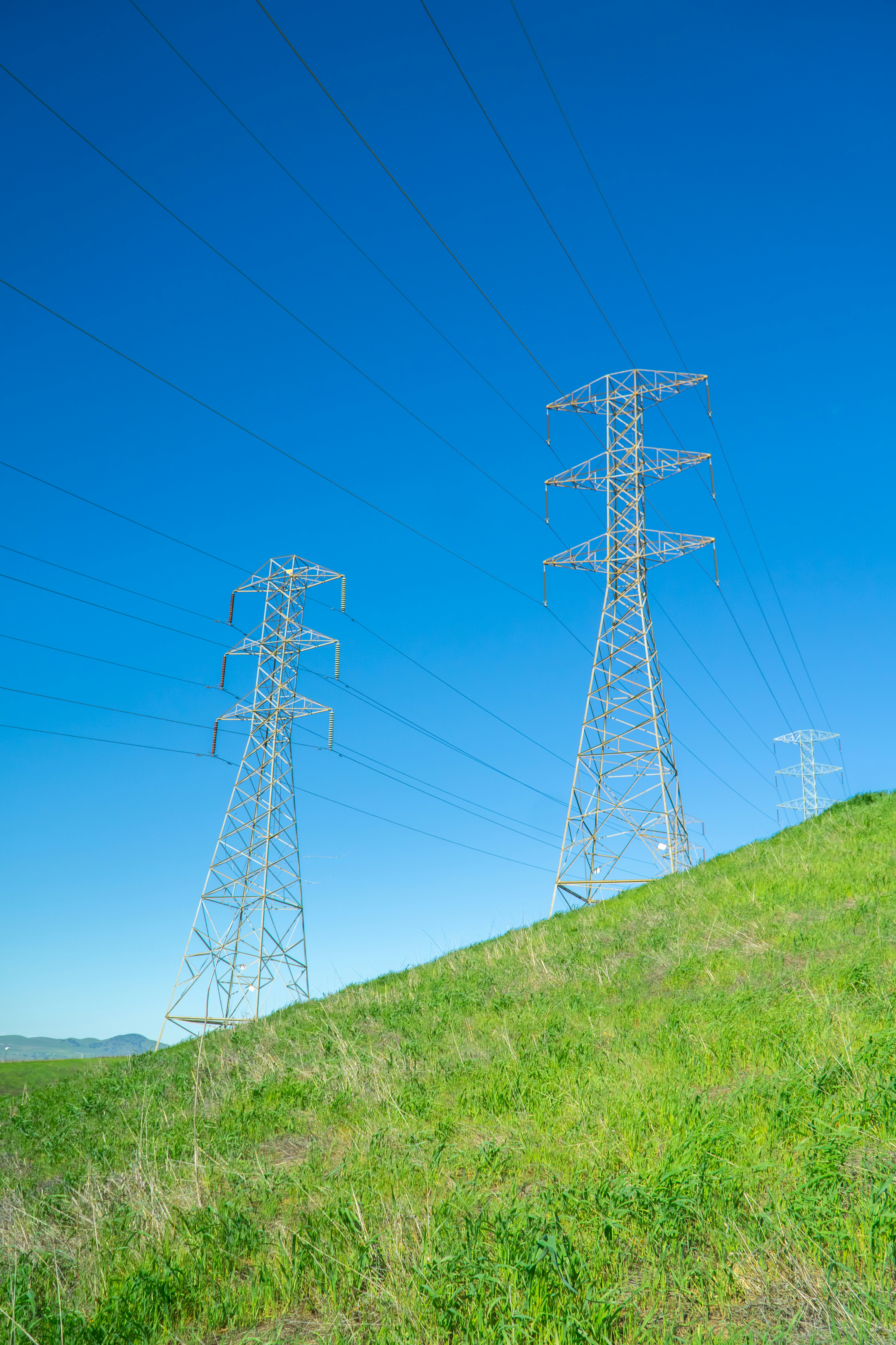 Photo by spencer_demera