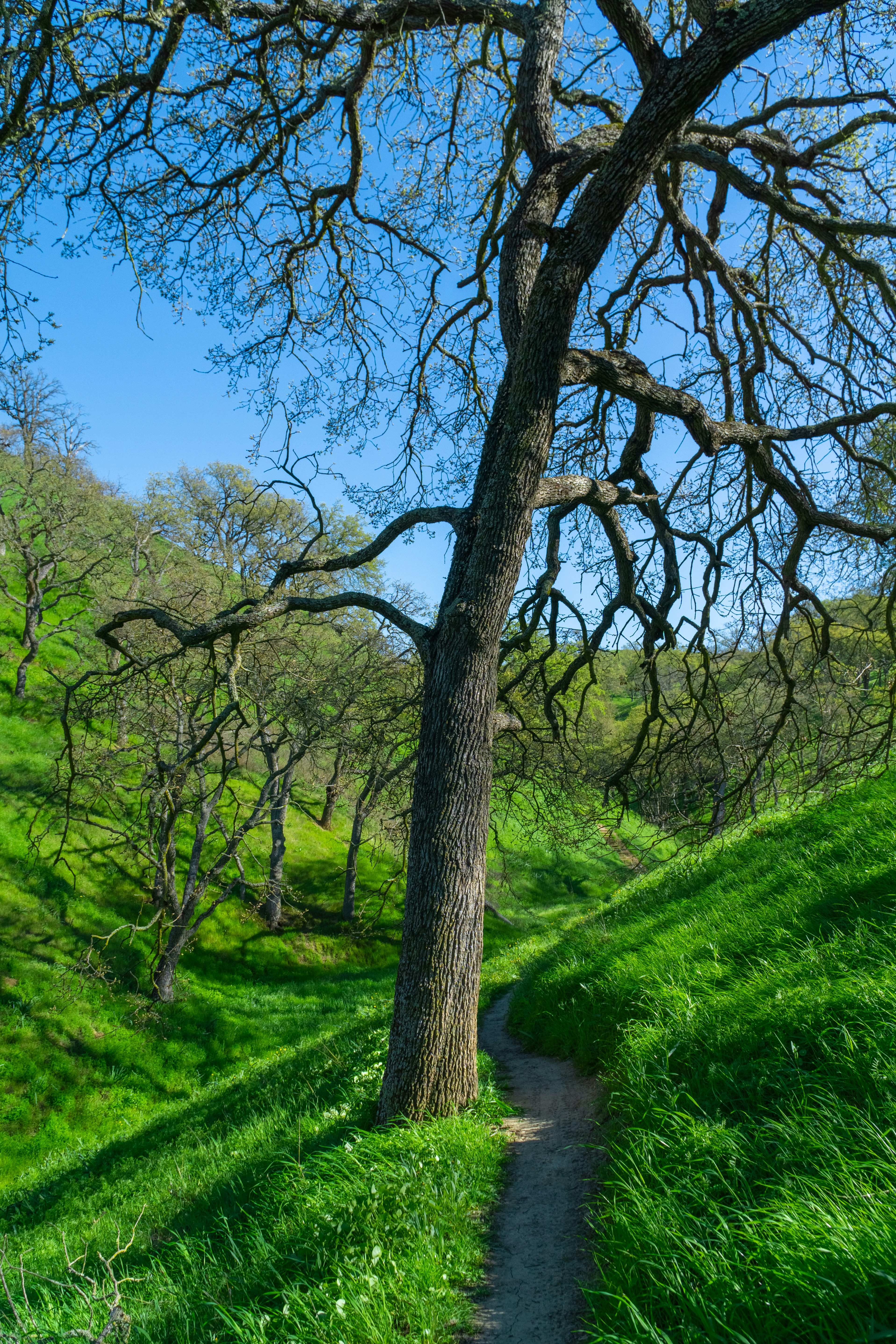 Photo by spencer_demera