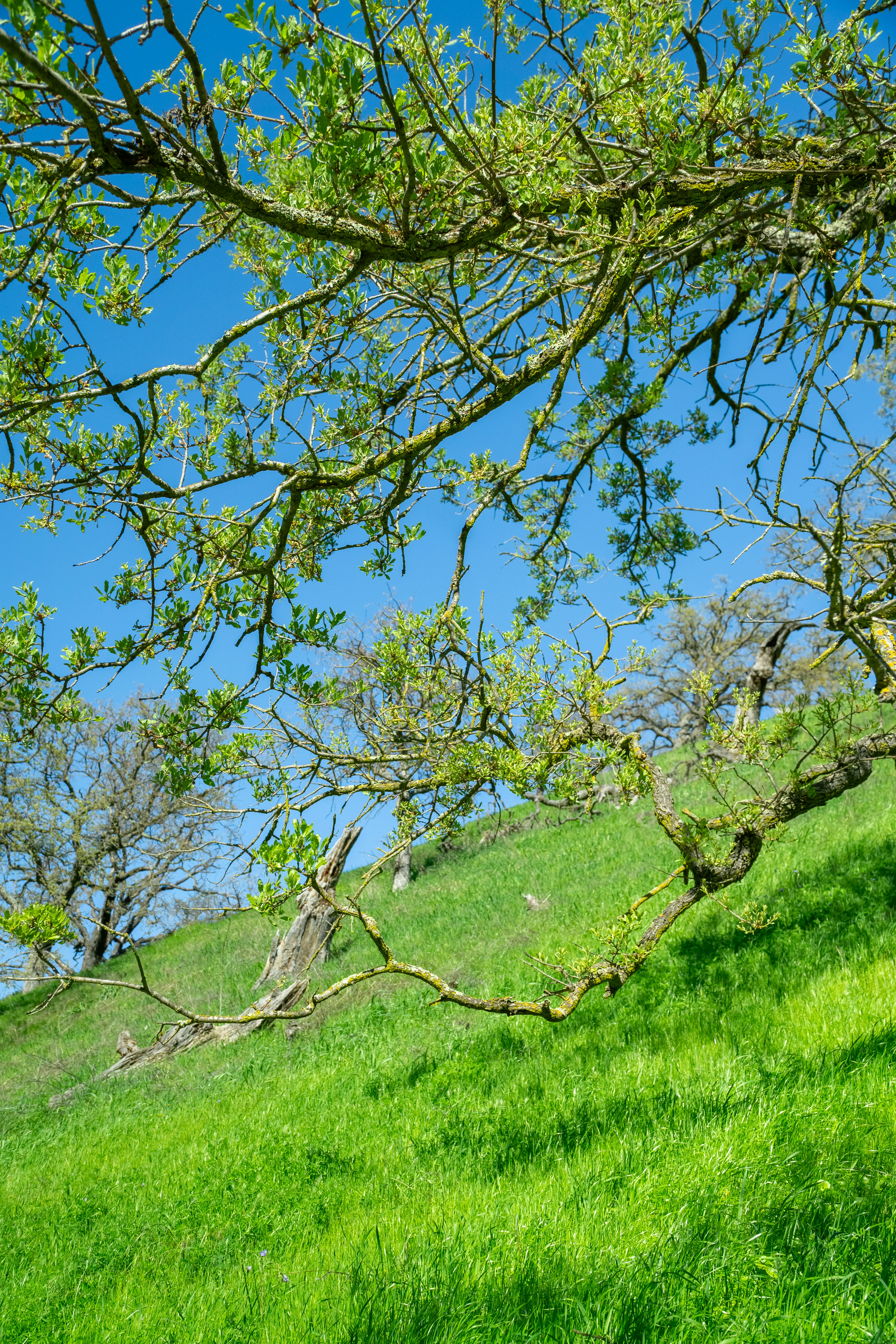 Photo by spencer_demera