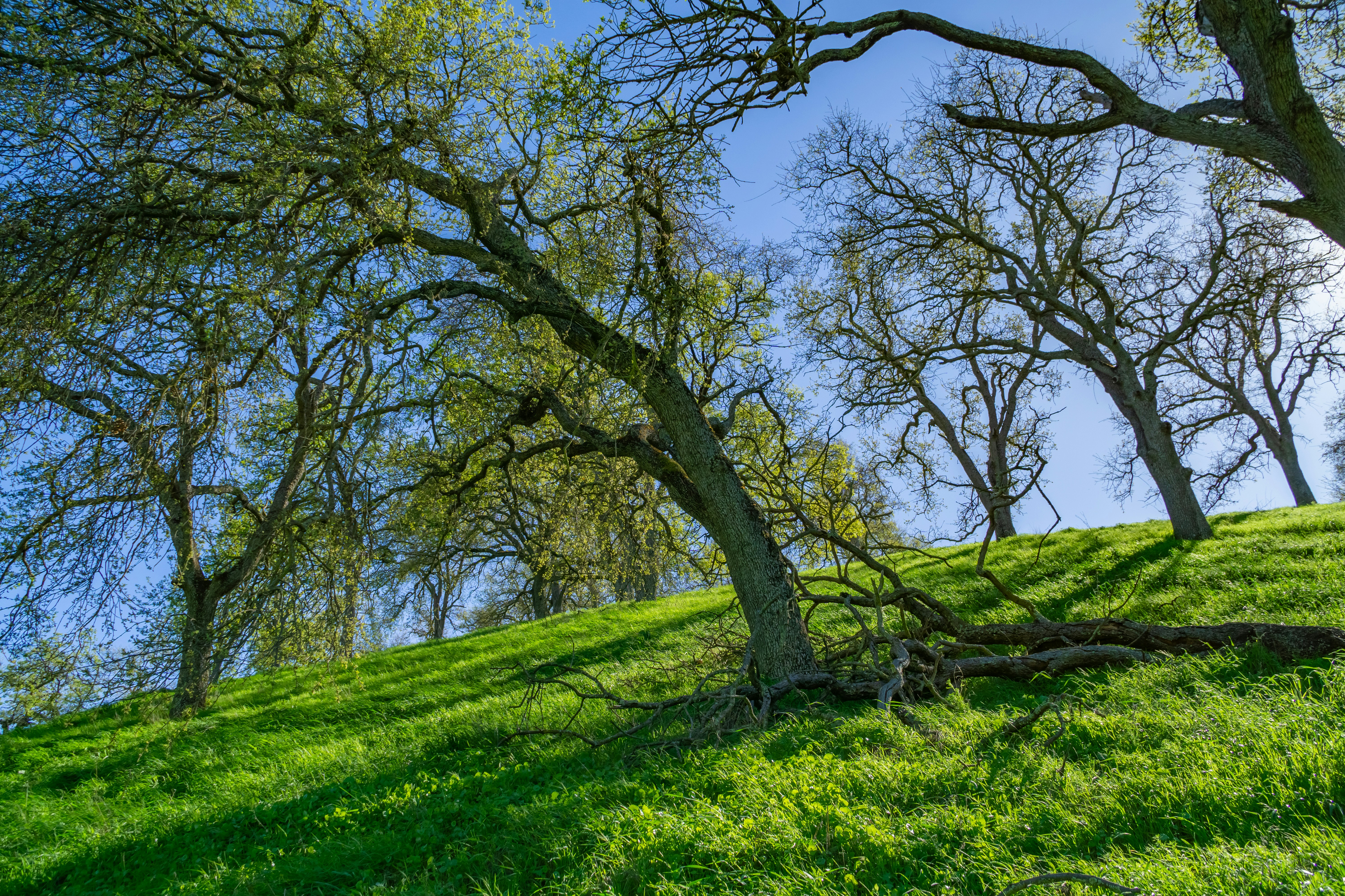 Photo by spencer_demera