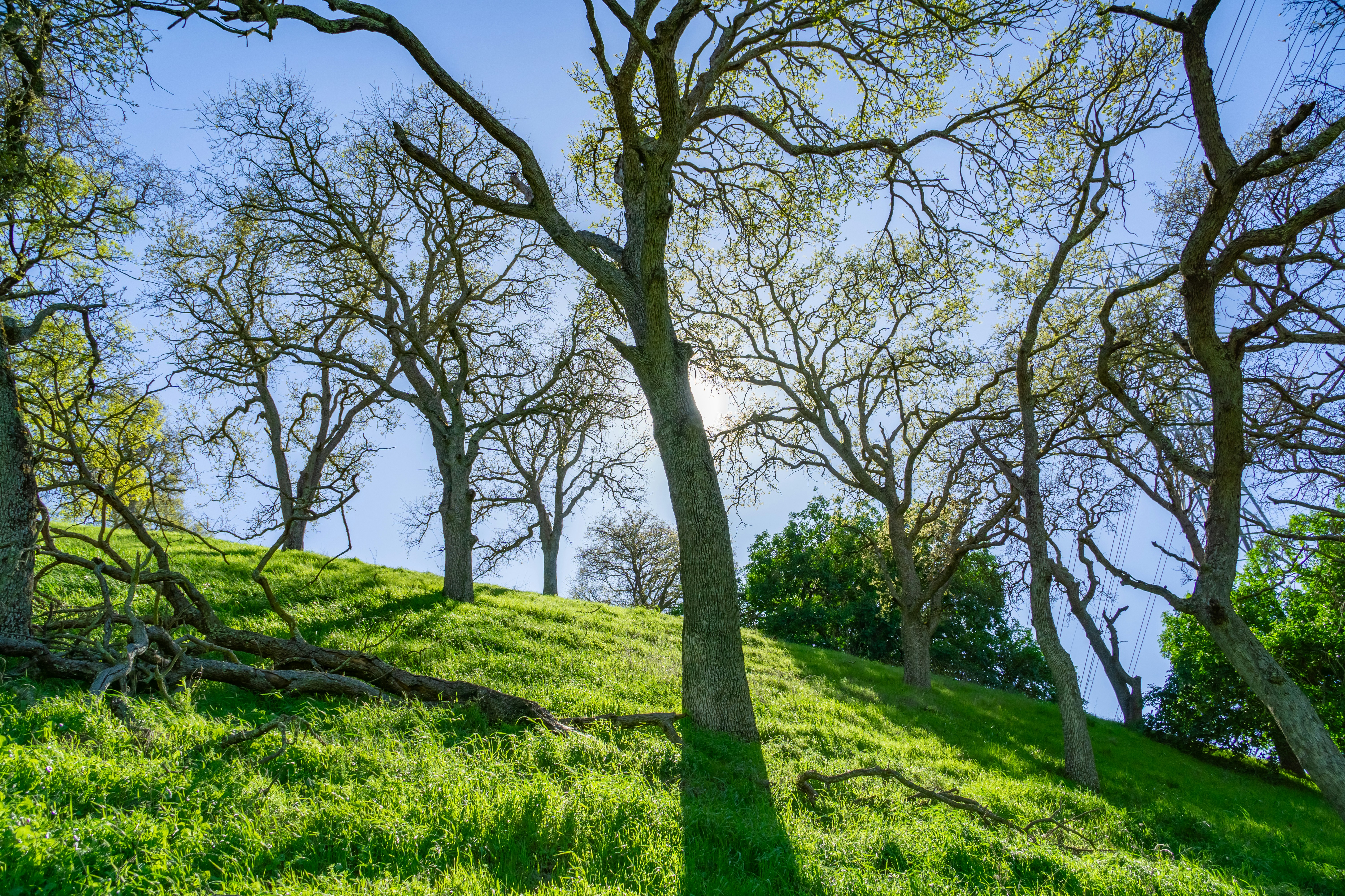 Photo by spencer_demera