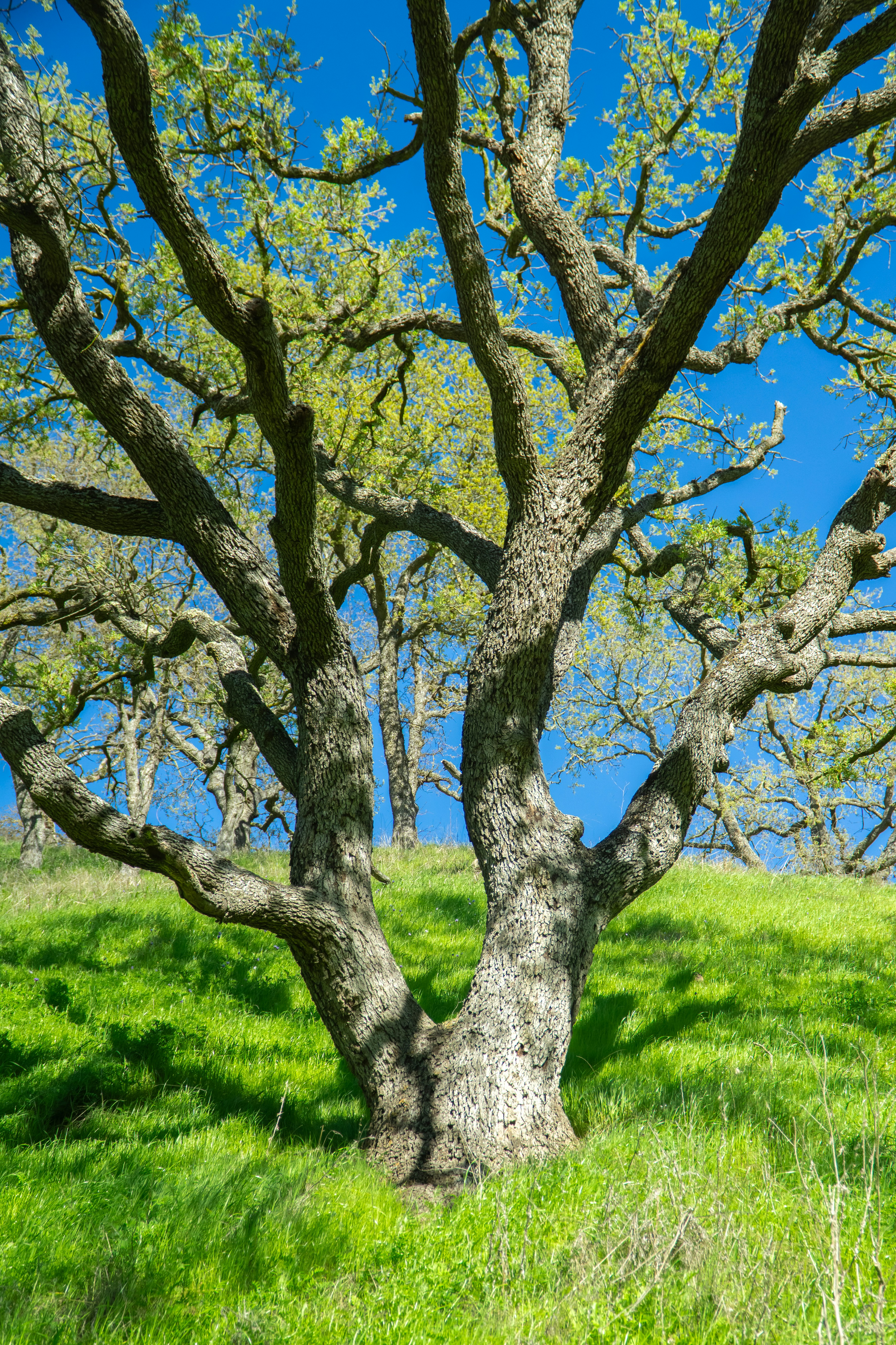 Photo by spencer_demera