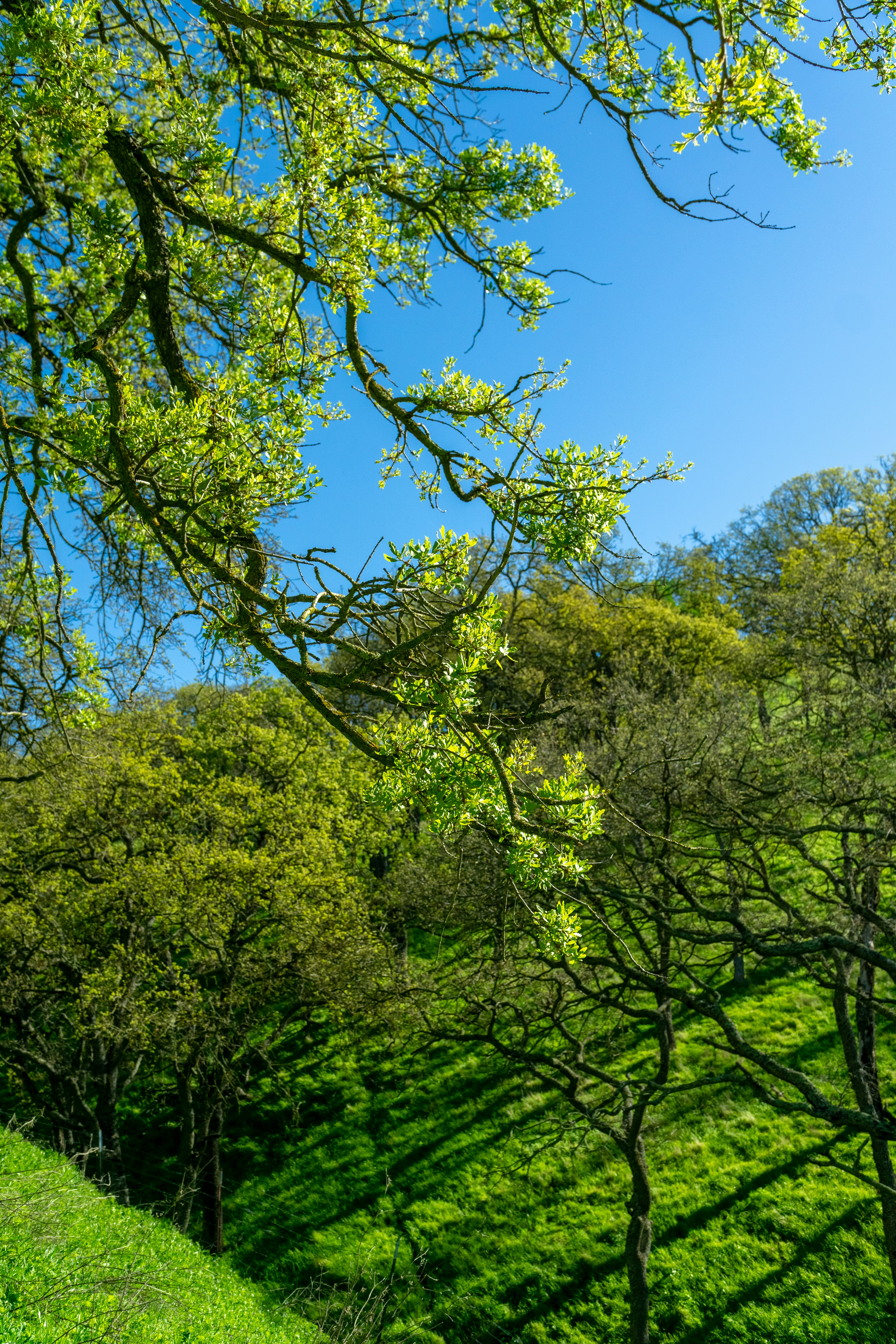 Photo by spencer_demera