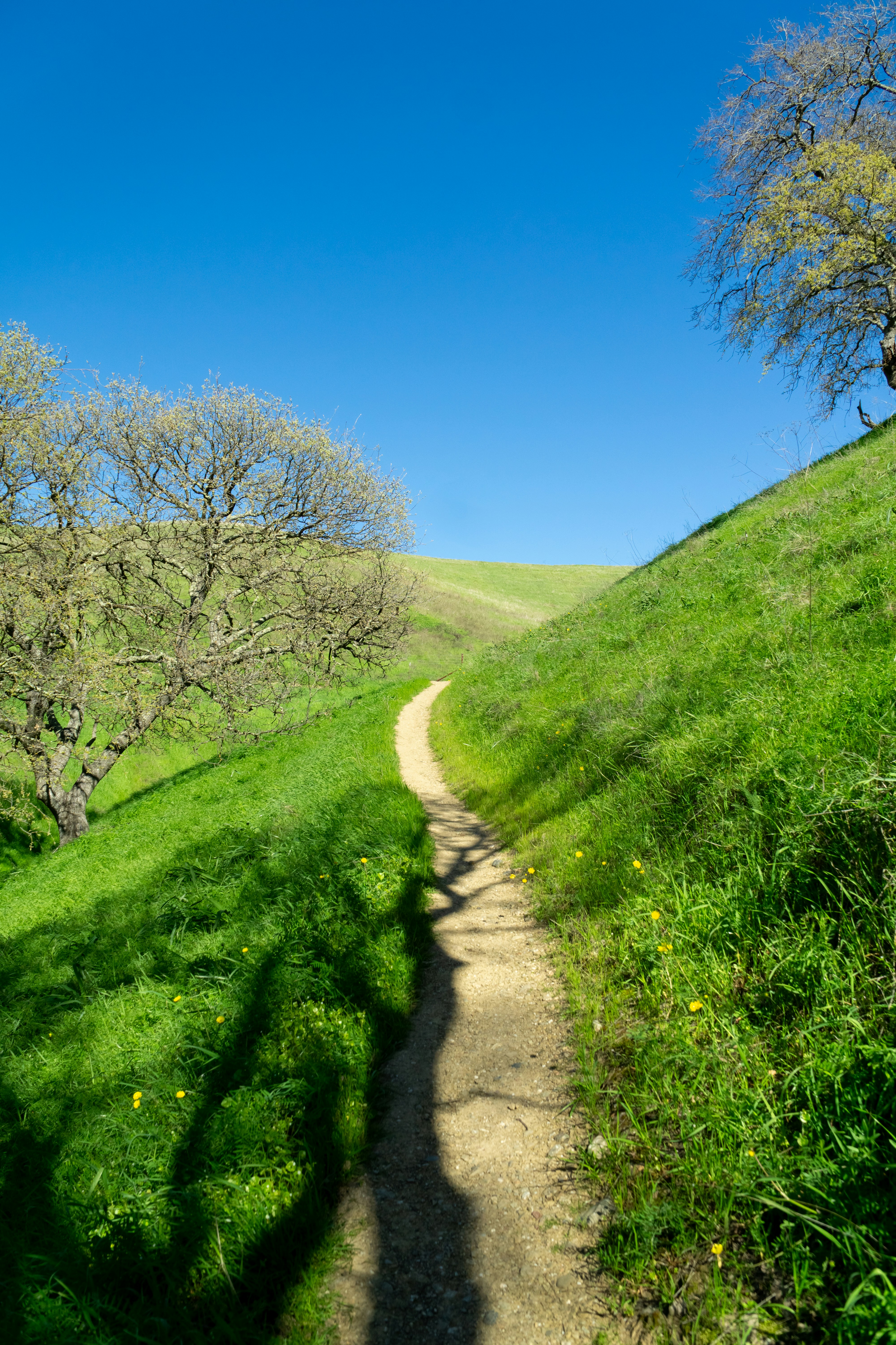 Photo by spencer_demera