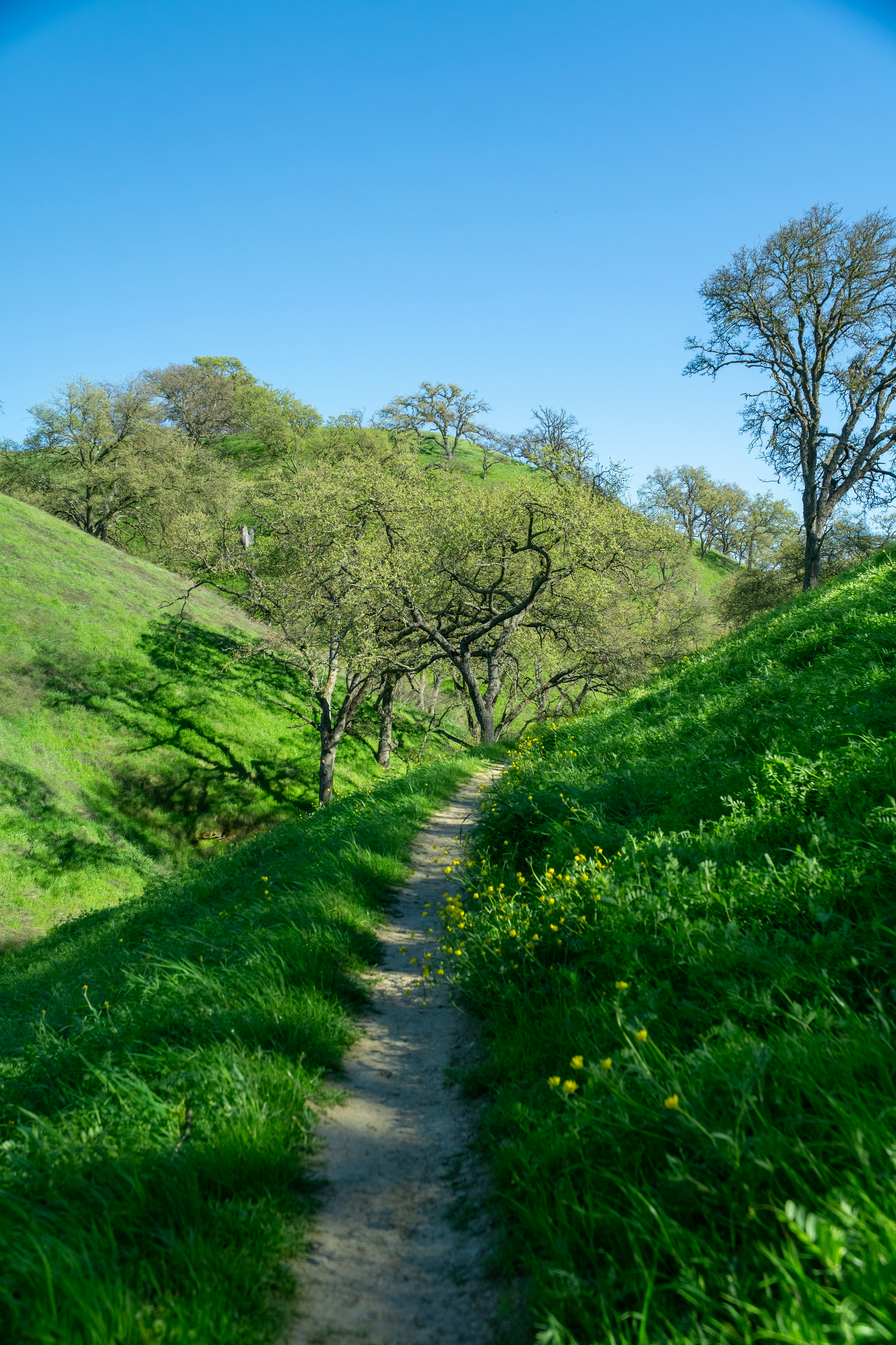 Photo by spencer_demera