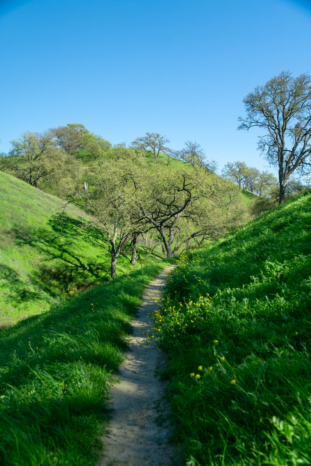A green hillside stabilised with grass