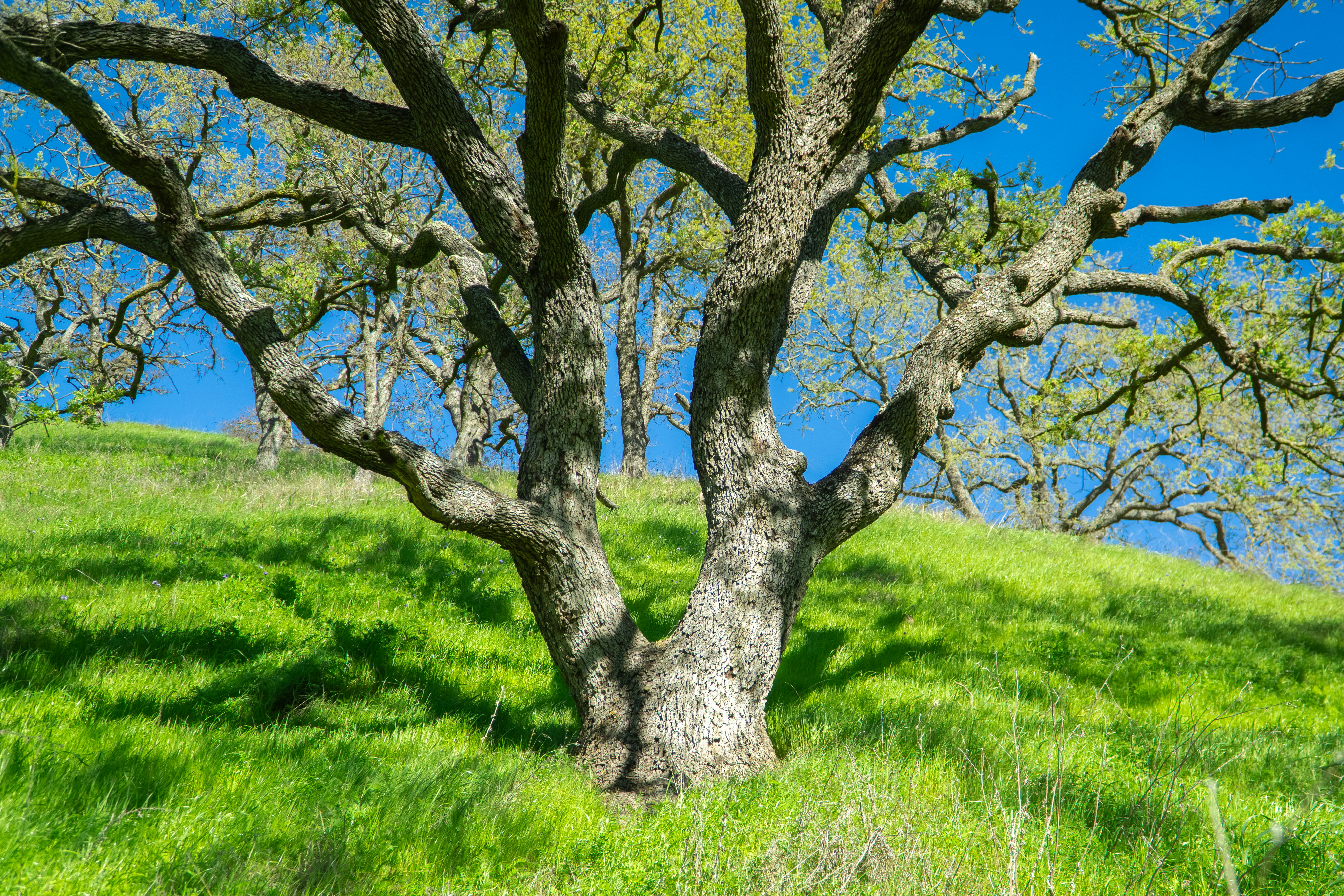 Photo by spencer_demera