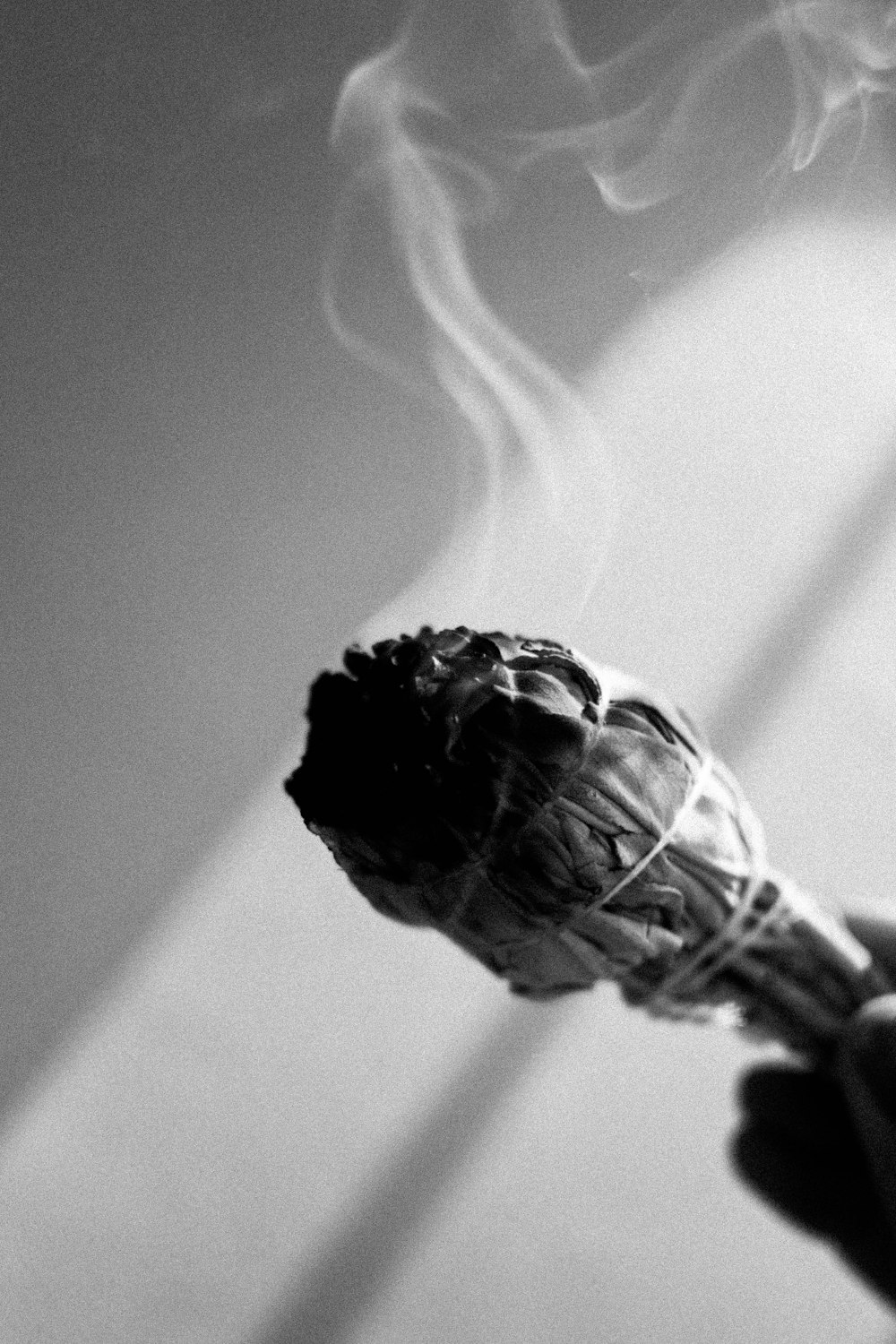 a black and white photo of a person holding a flower