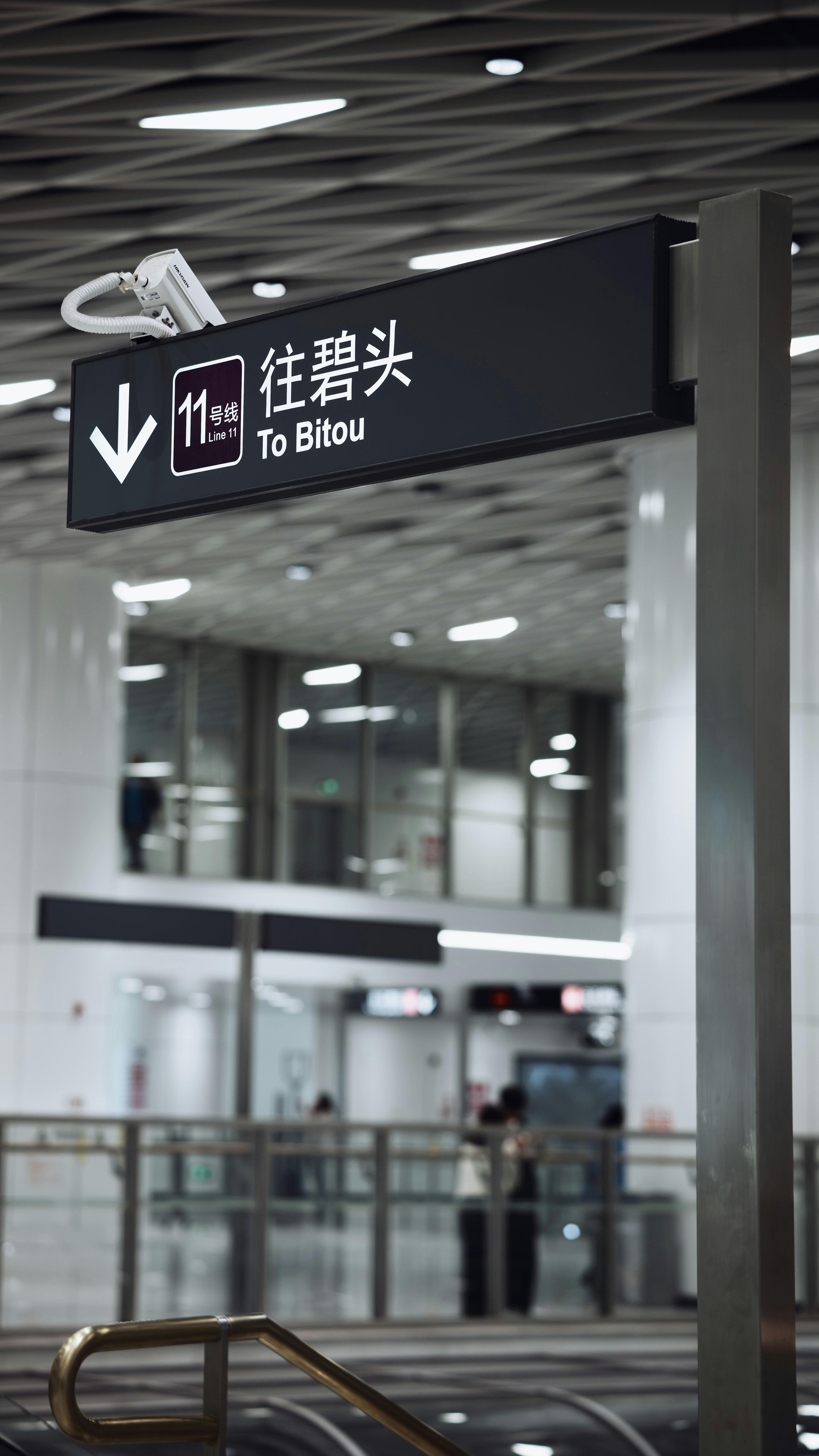 Photo by wangbinghua