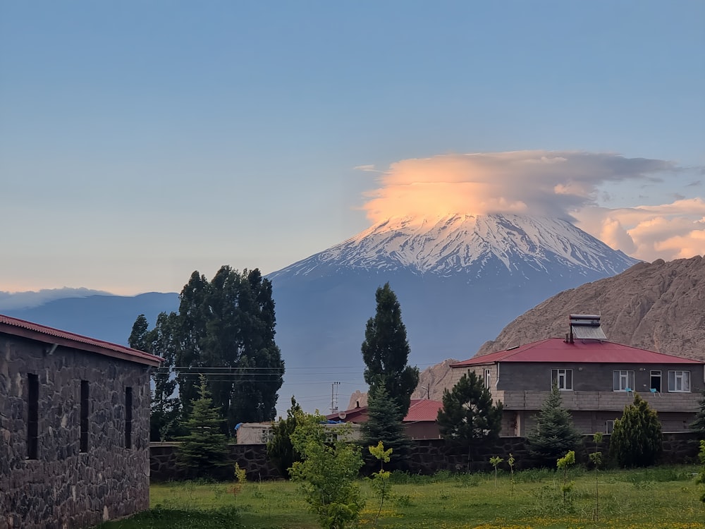 a mountain in the distance with houses in the foreground