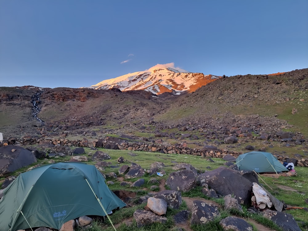 a couple of tents sitting on top of a lush green field