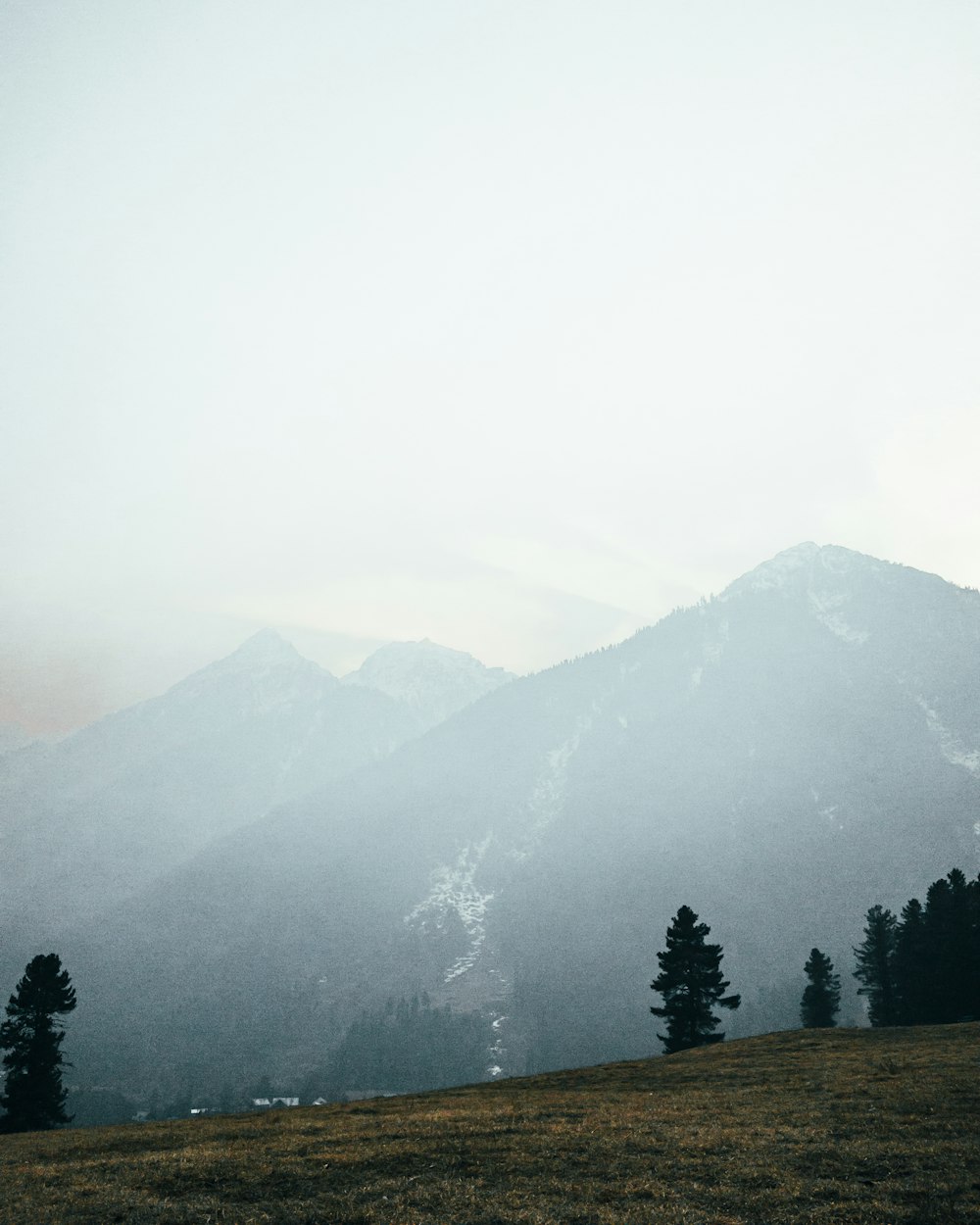 a grassy field with trees and mountains in the background