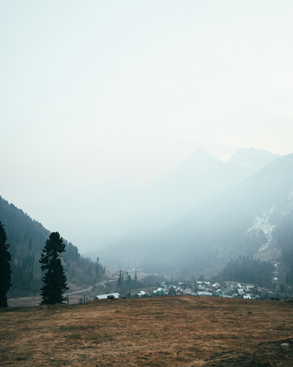 a grassy field with trees and mountains in the background