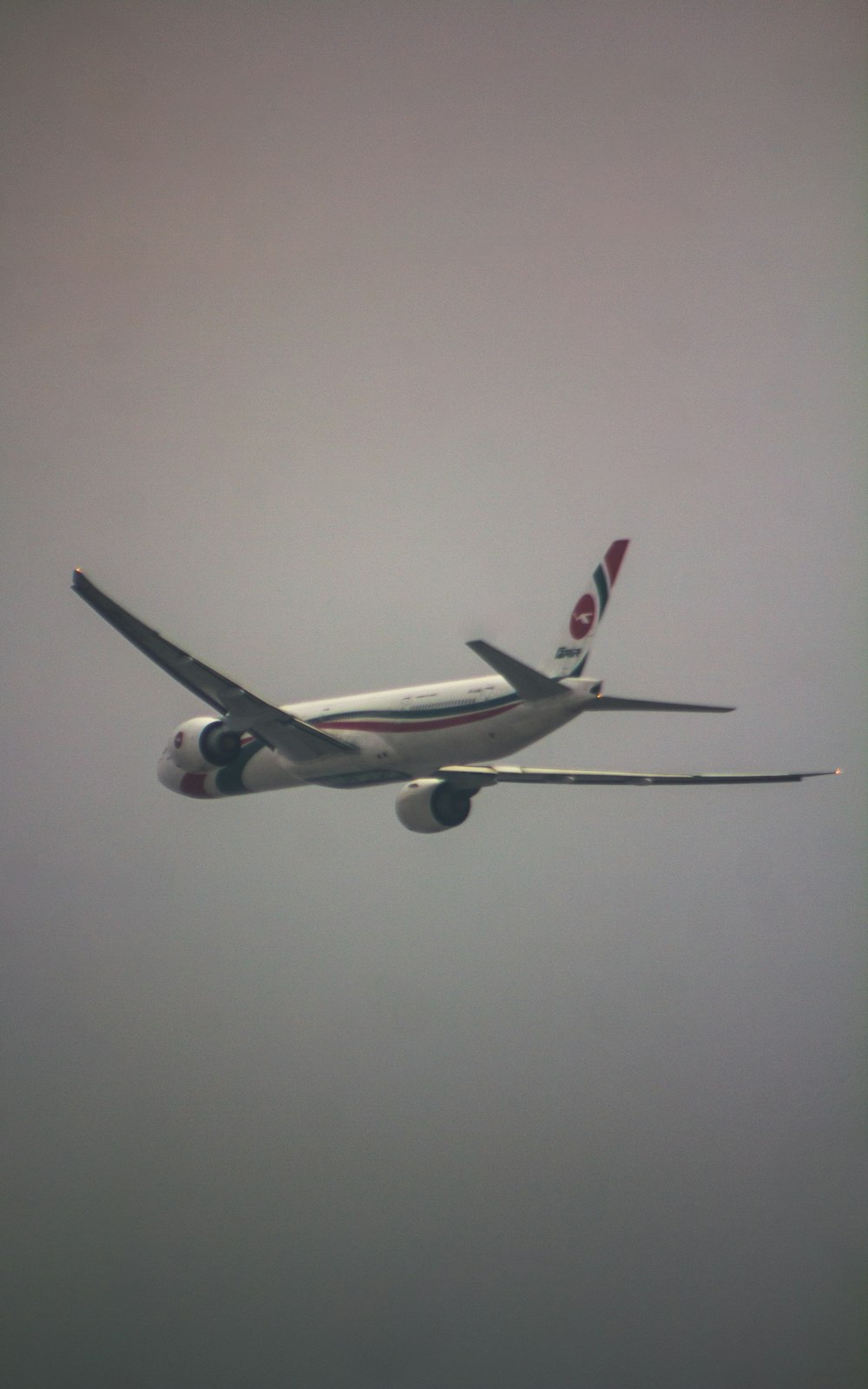 a large jetliner flying through a foggy sky