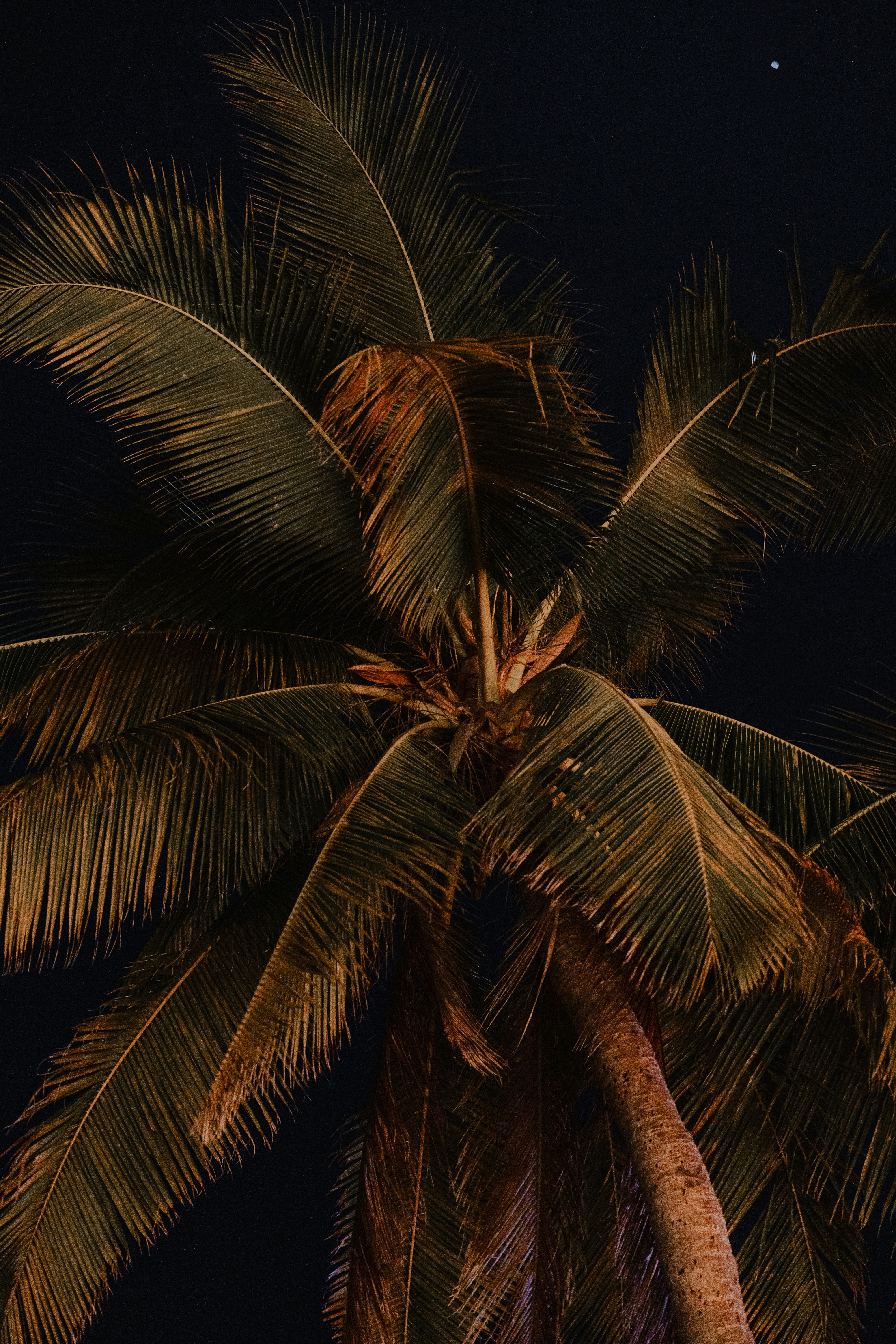 Photo by framesforyourheart