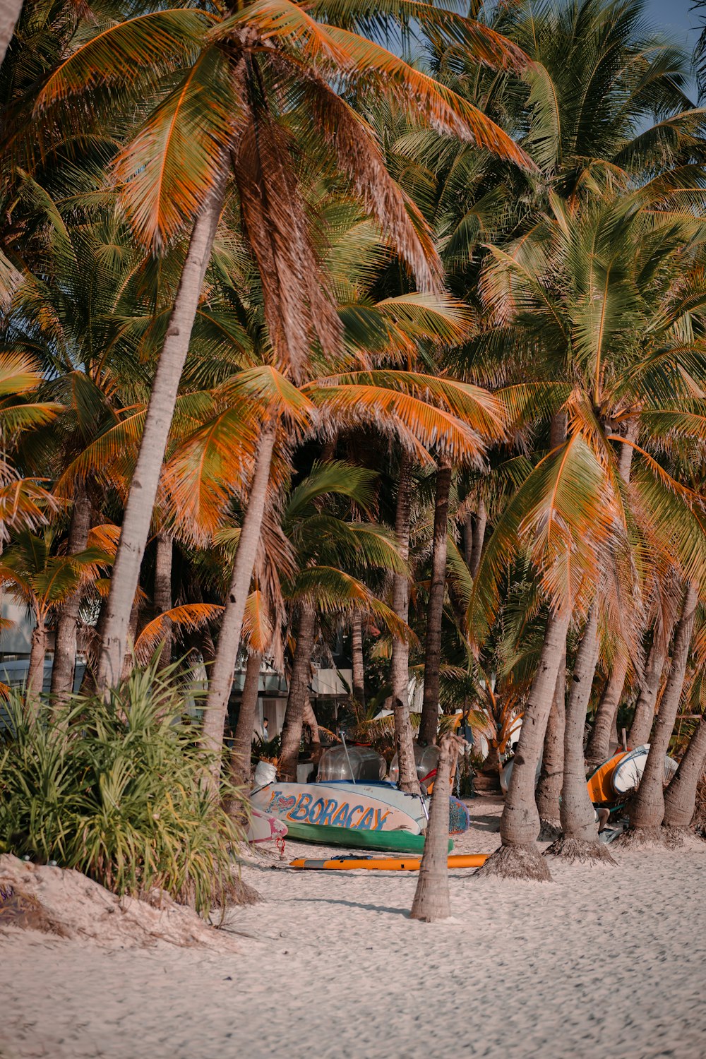 a row of palm trees next to a beach