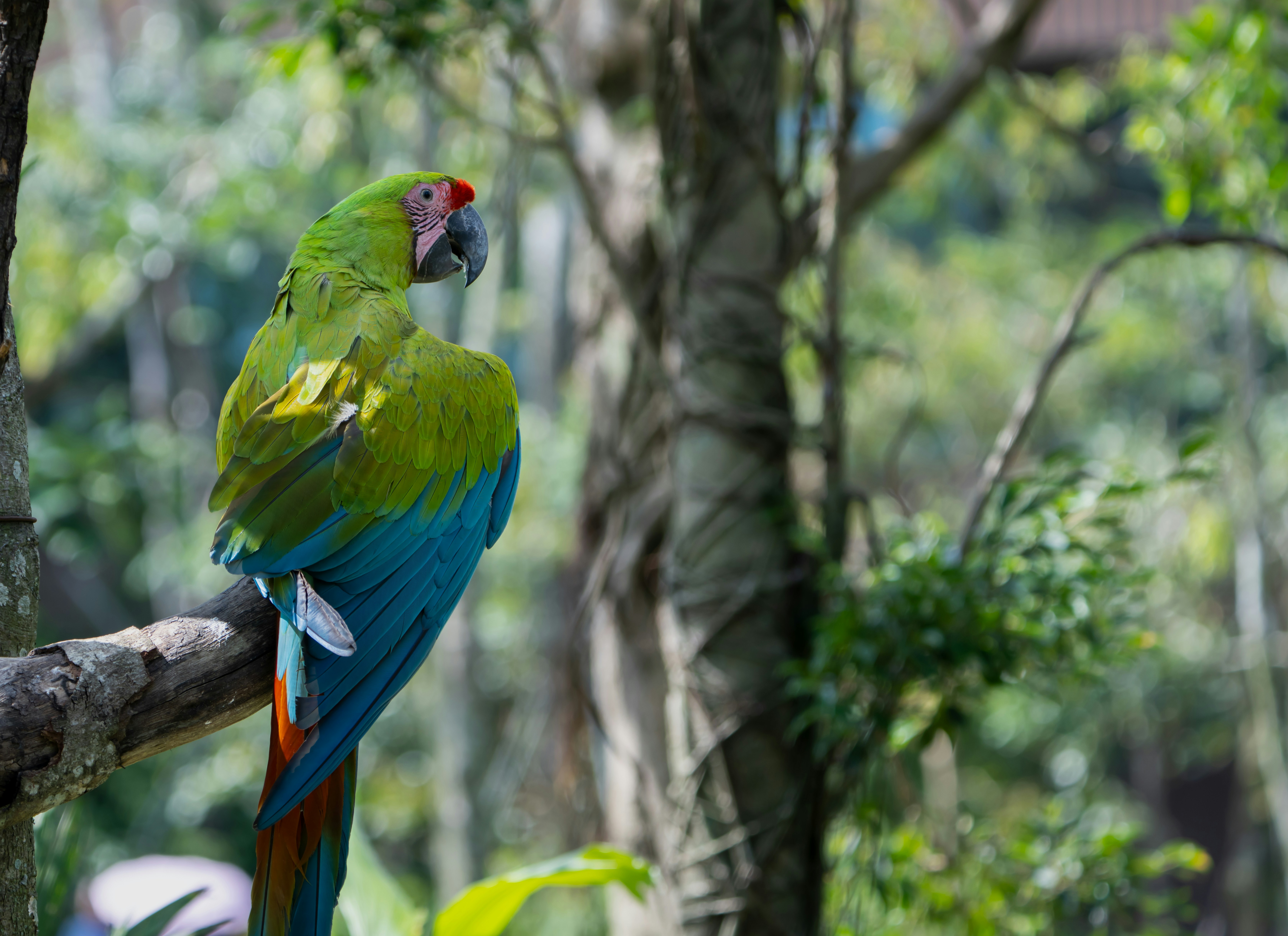 Photo by mhphotography13