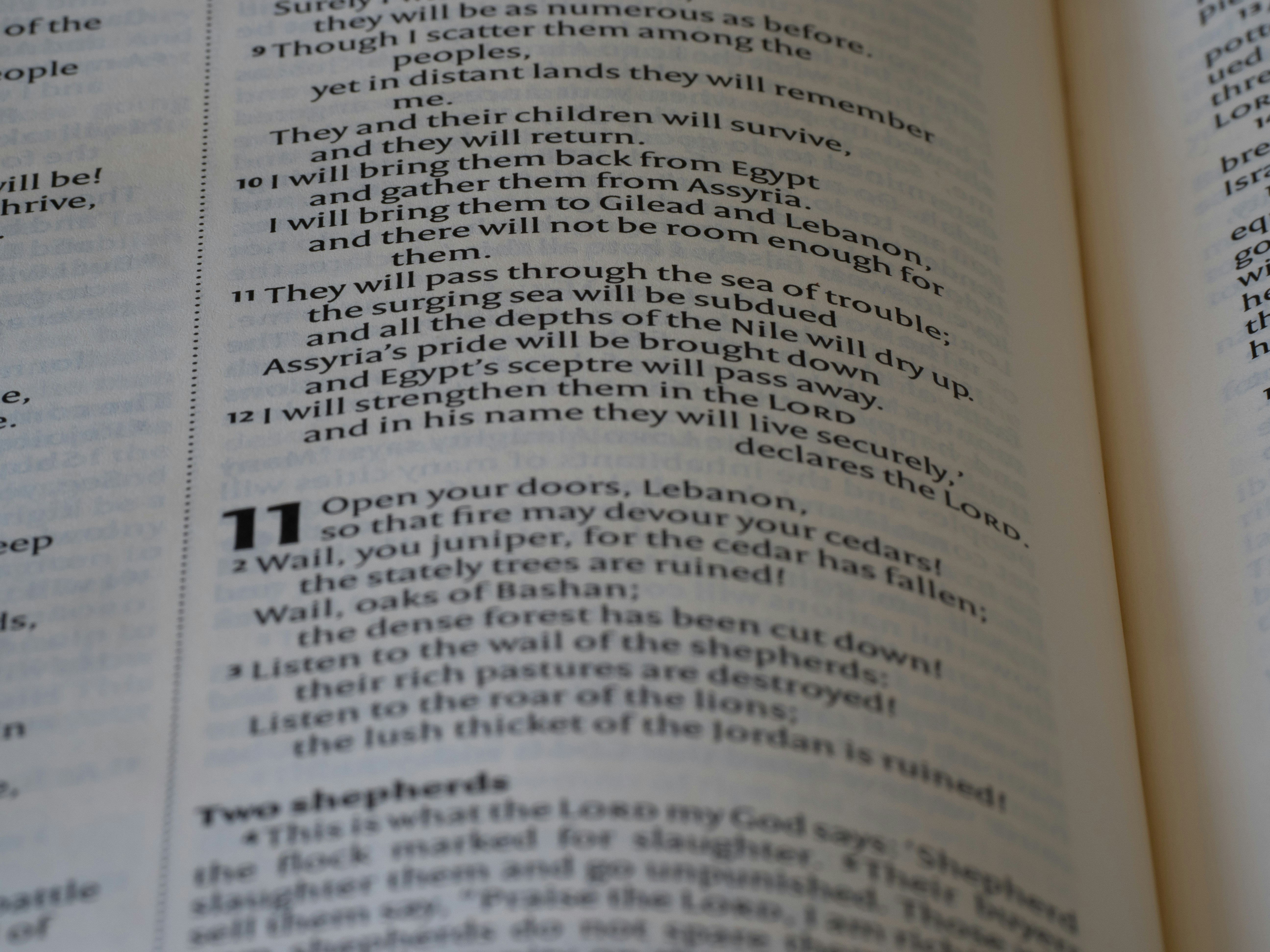 a close up of a book with an open page