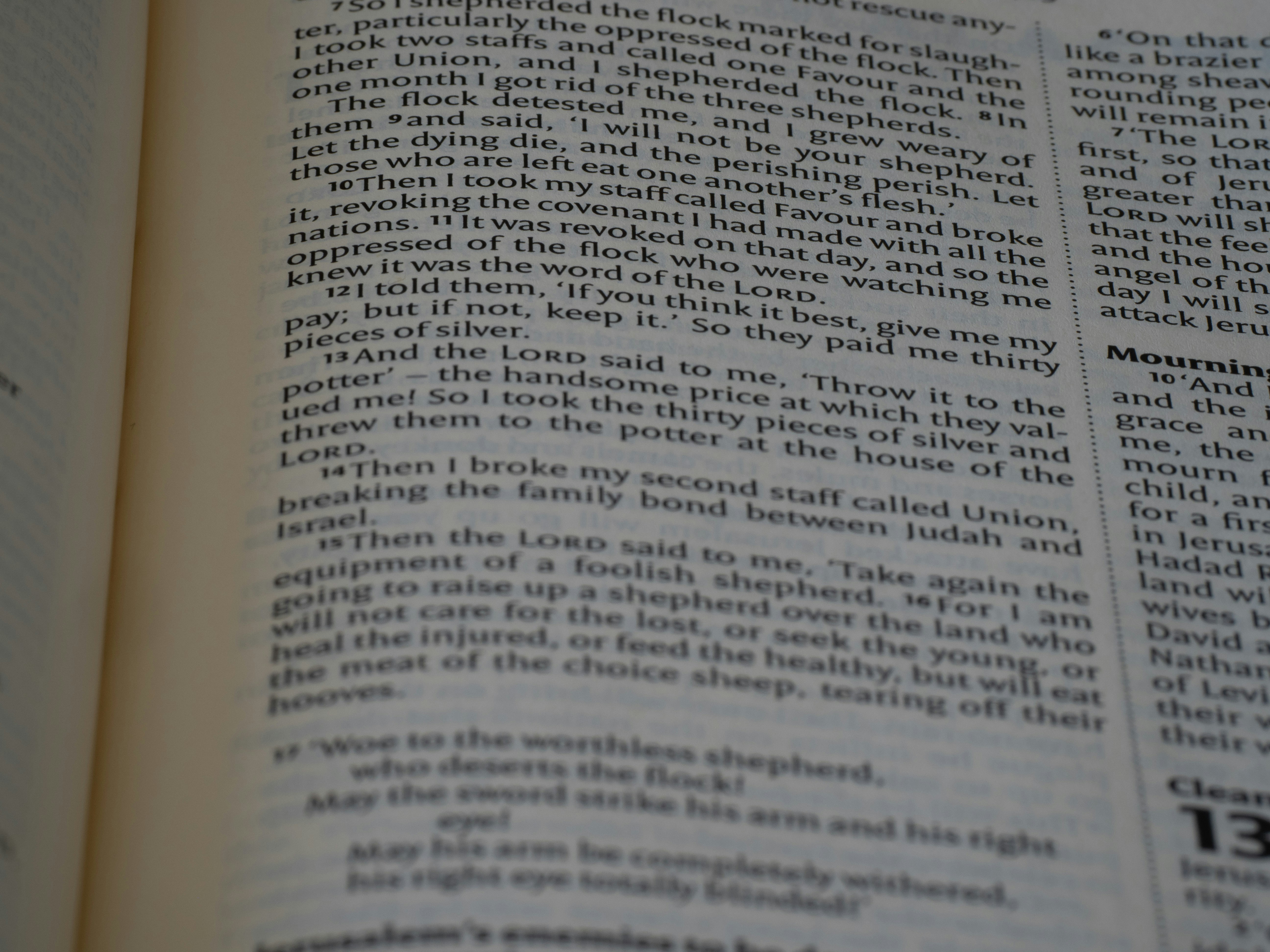 Photo by brett_jordan