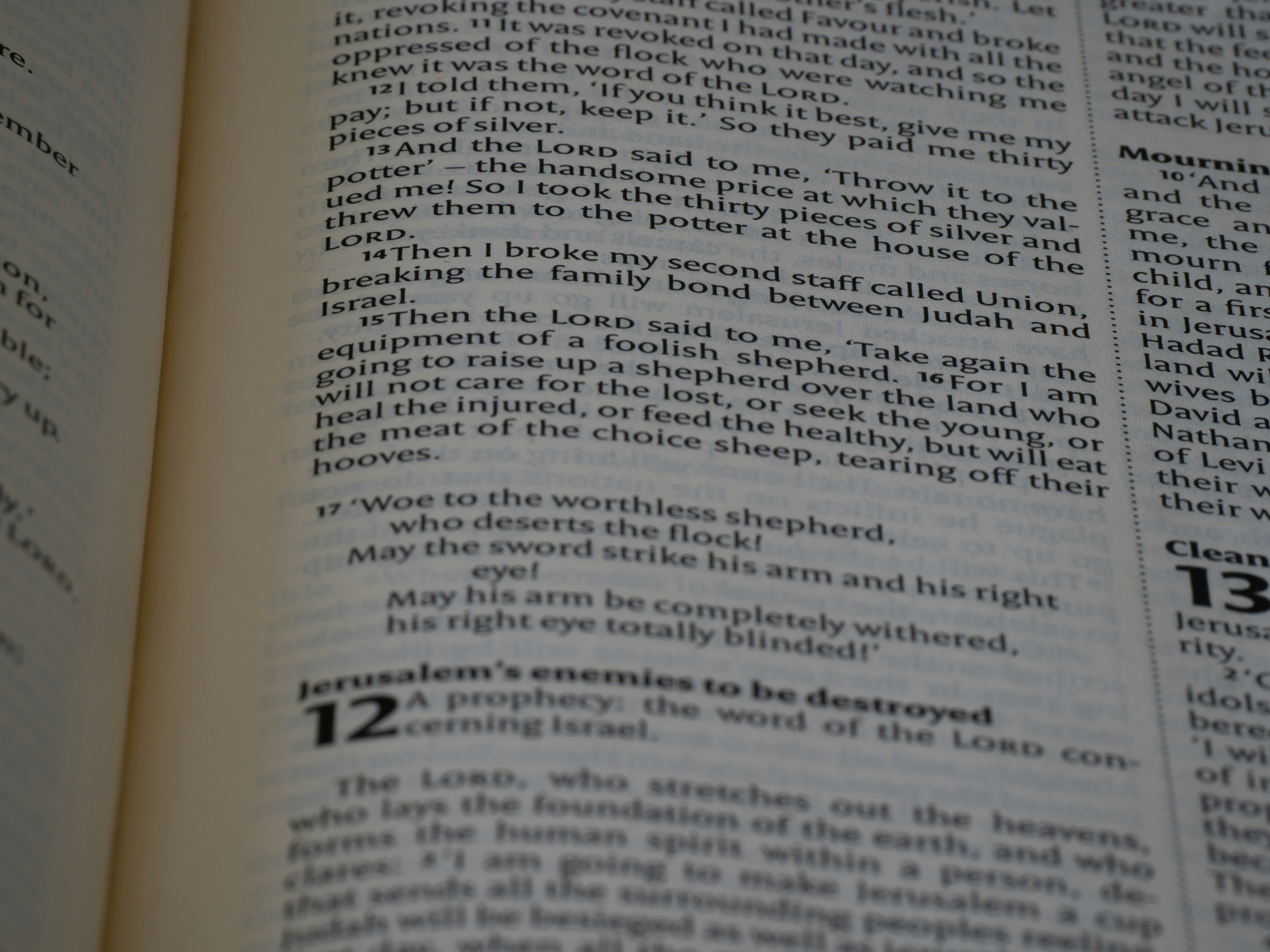 Photo by brett_jordan