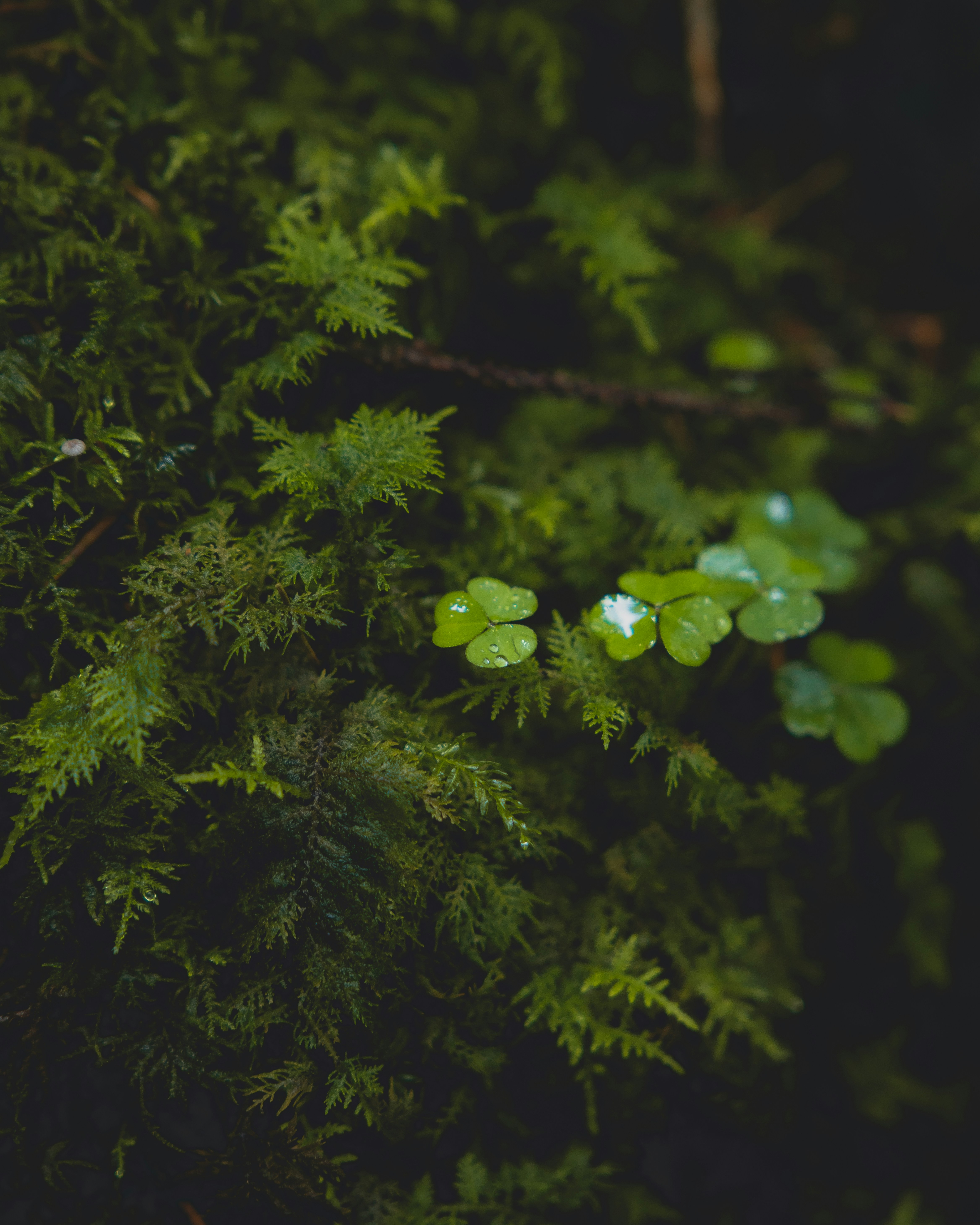 Photo by viklukphotography