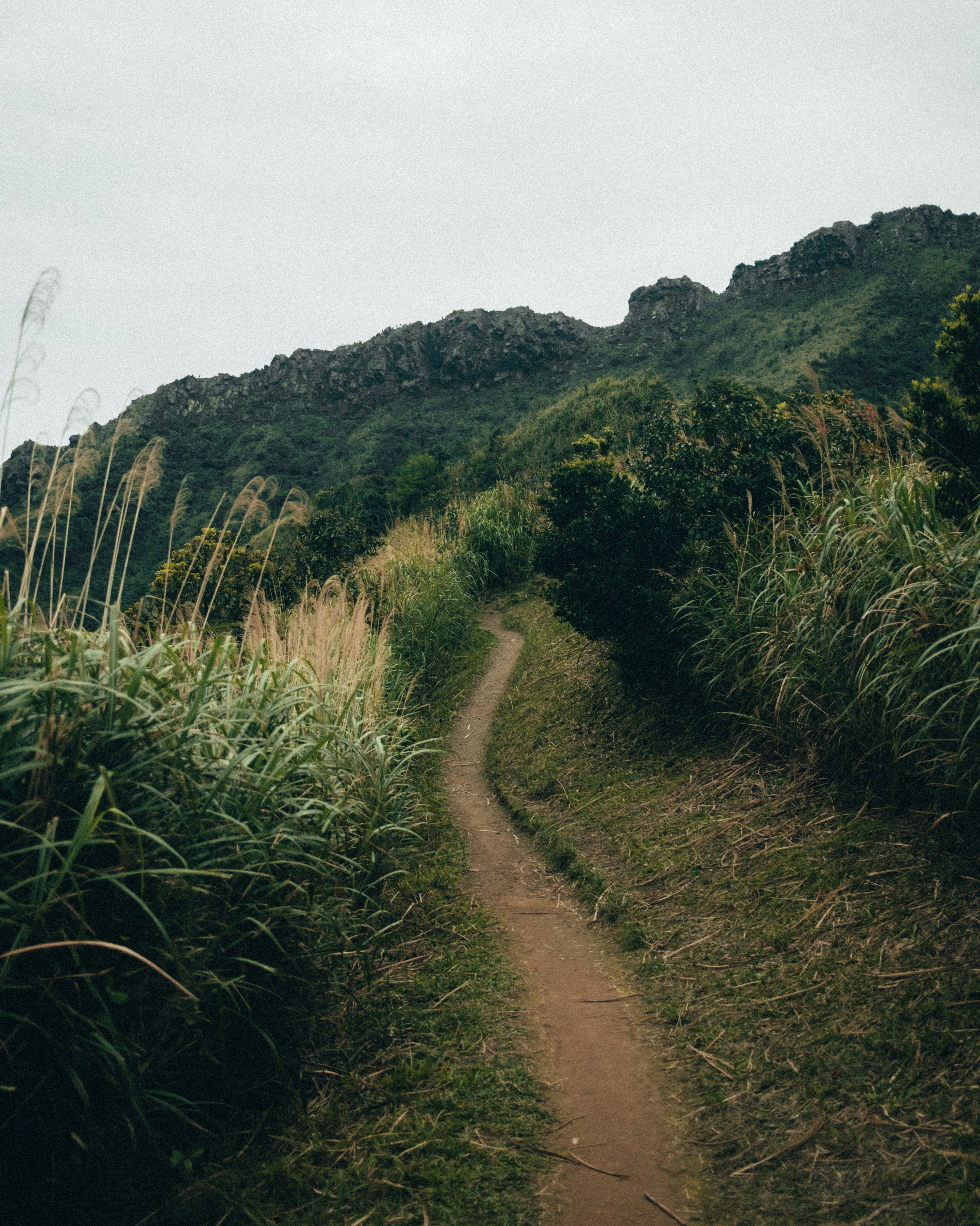 Photo by chrisyangchrisfilm