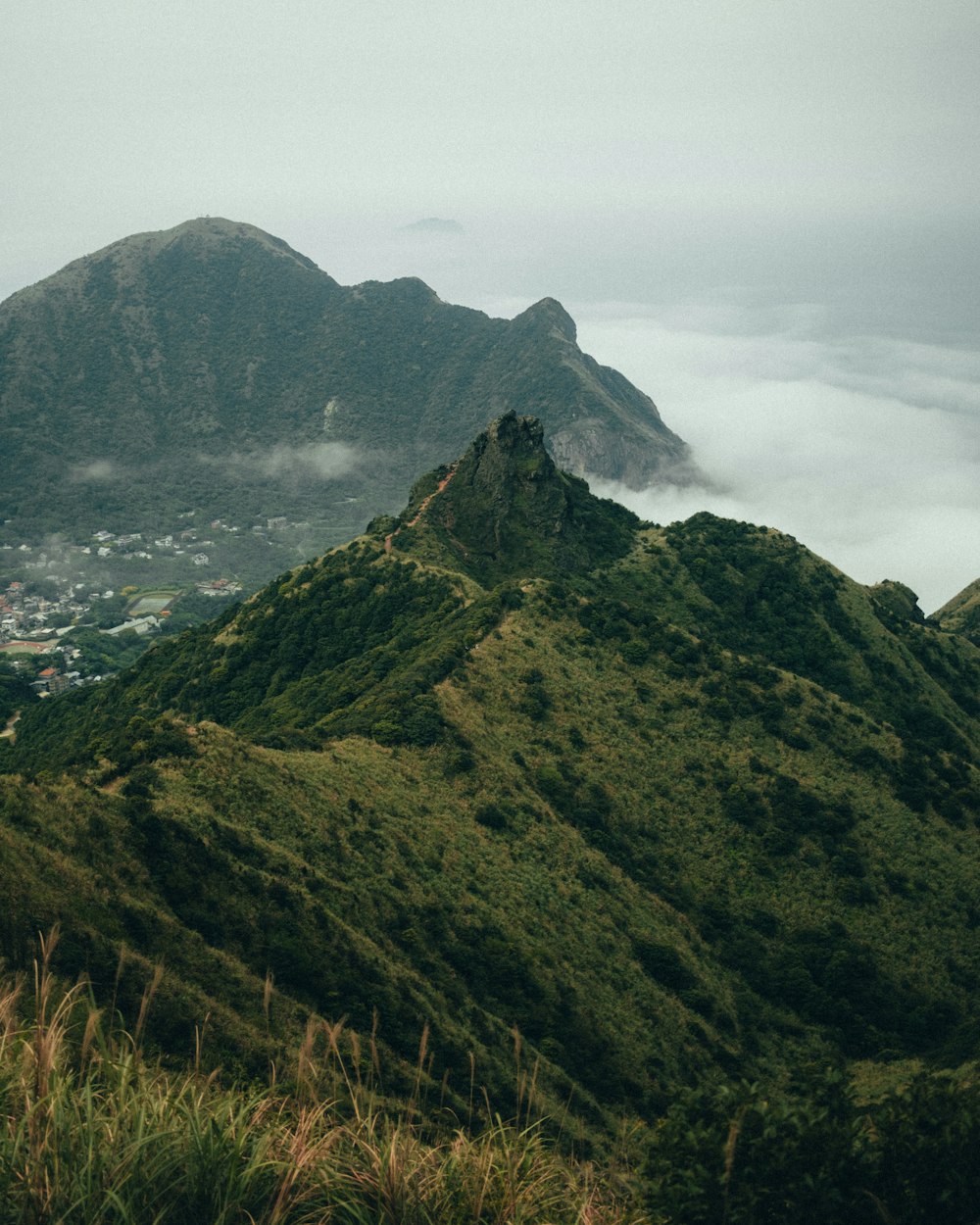 Une vue sur une chaîne de montagnes verdoyante