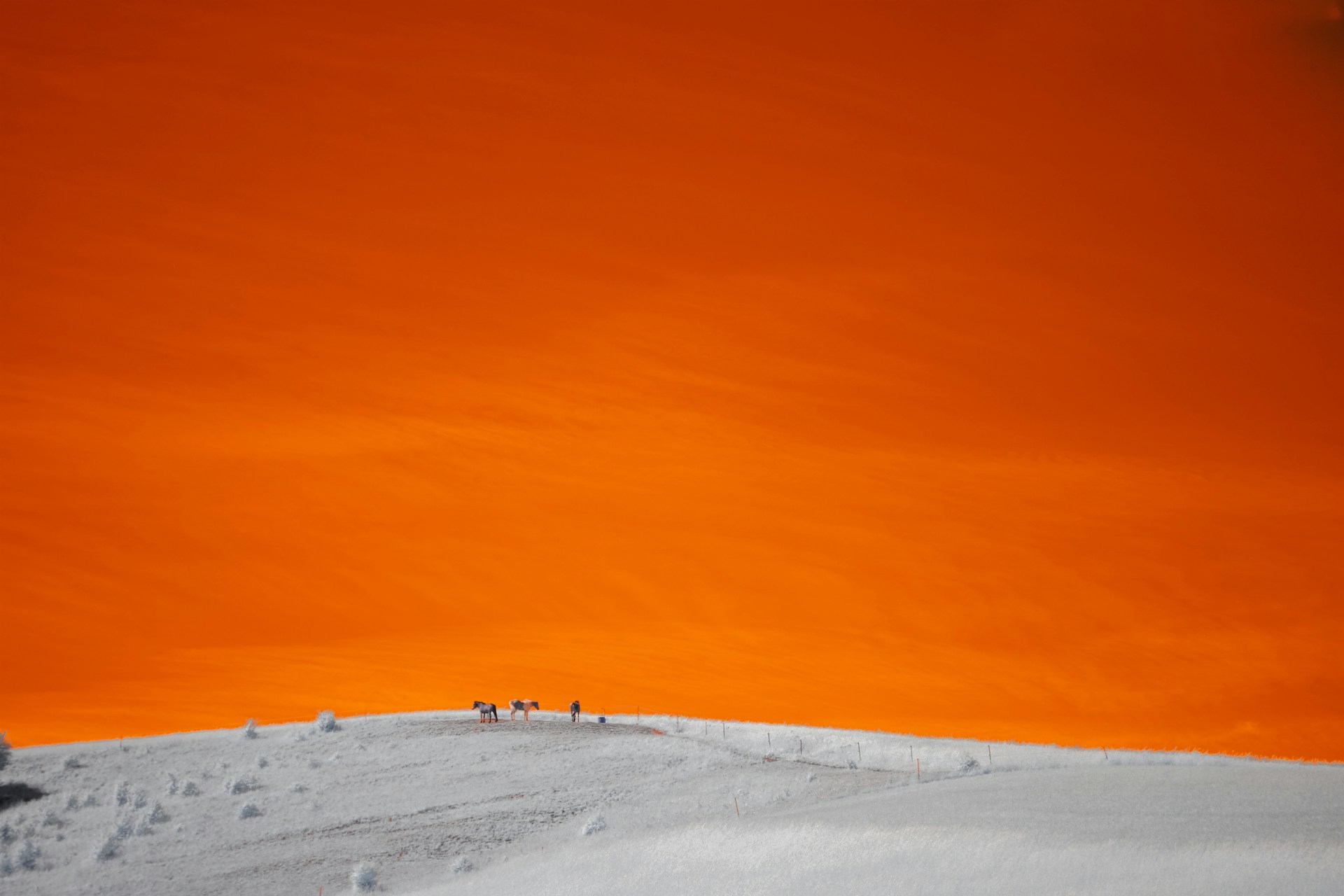 a group of people standing on top of a snow covered slope