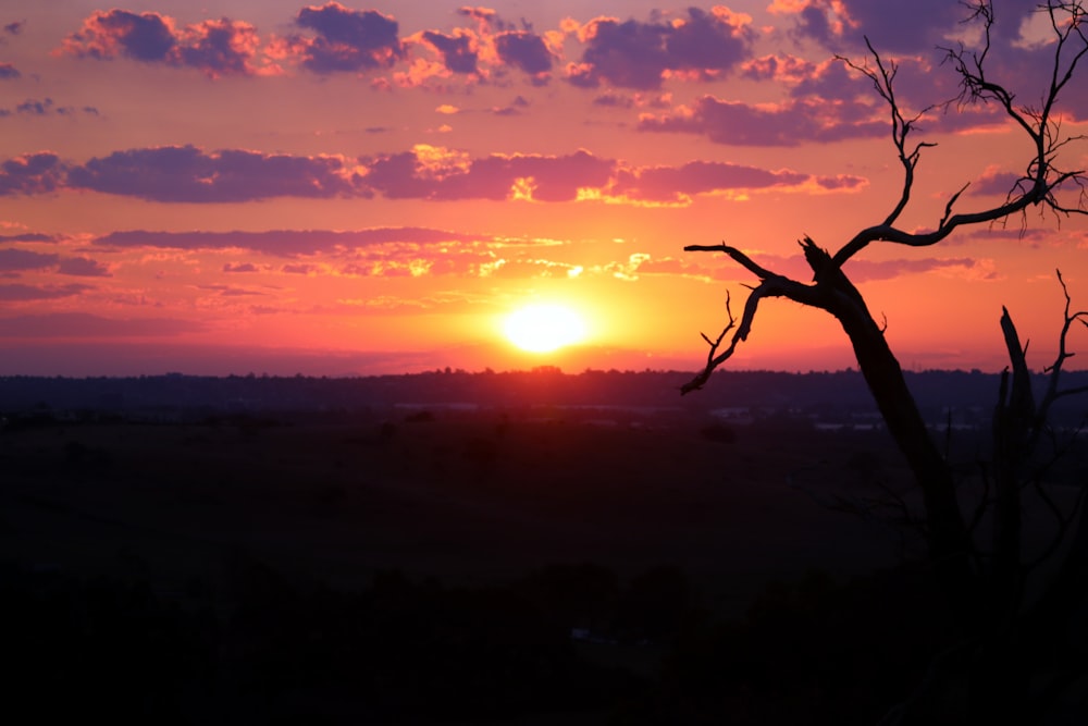 the sun is setting over the horizon of a field