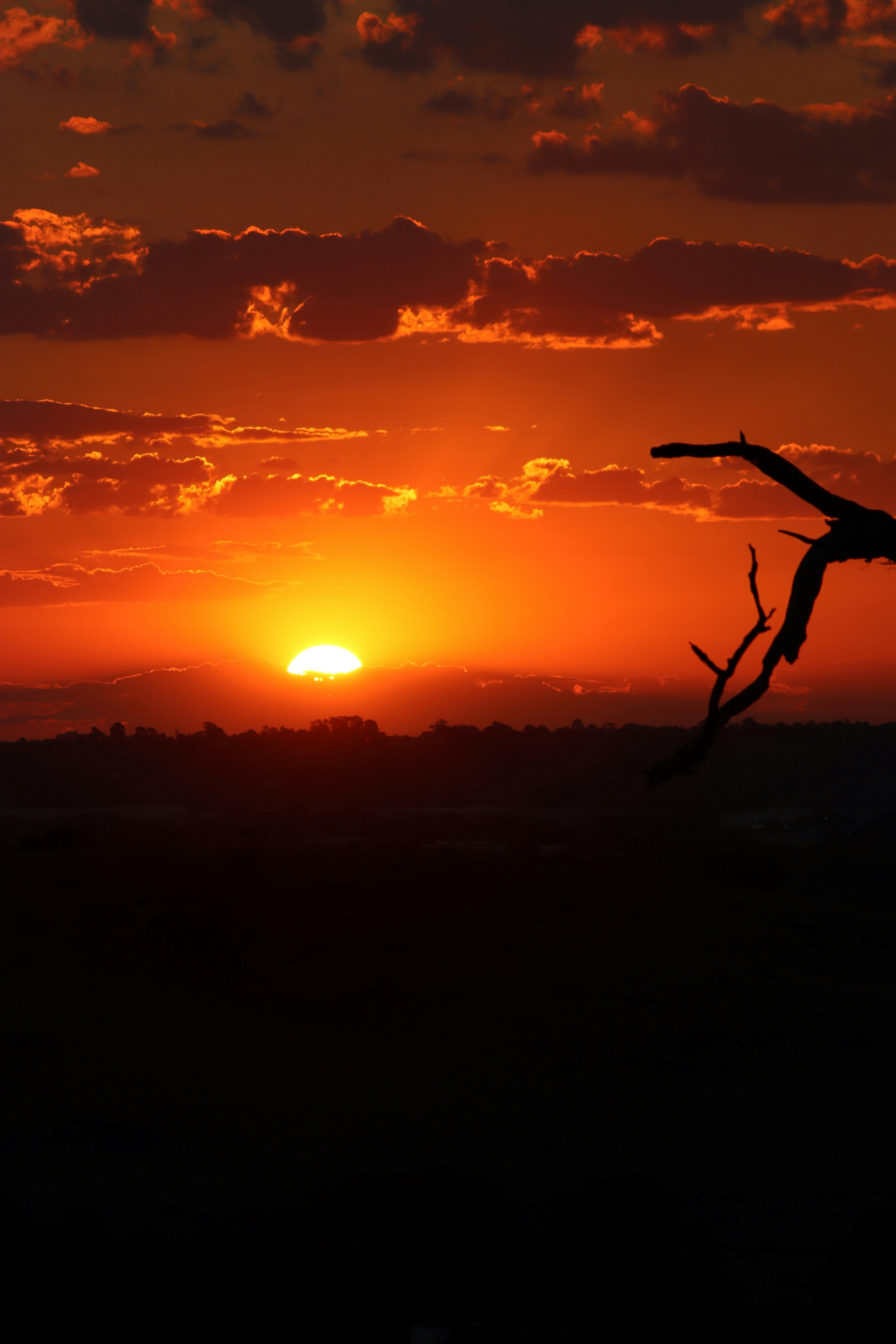 Photo by craigmanners_com